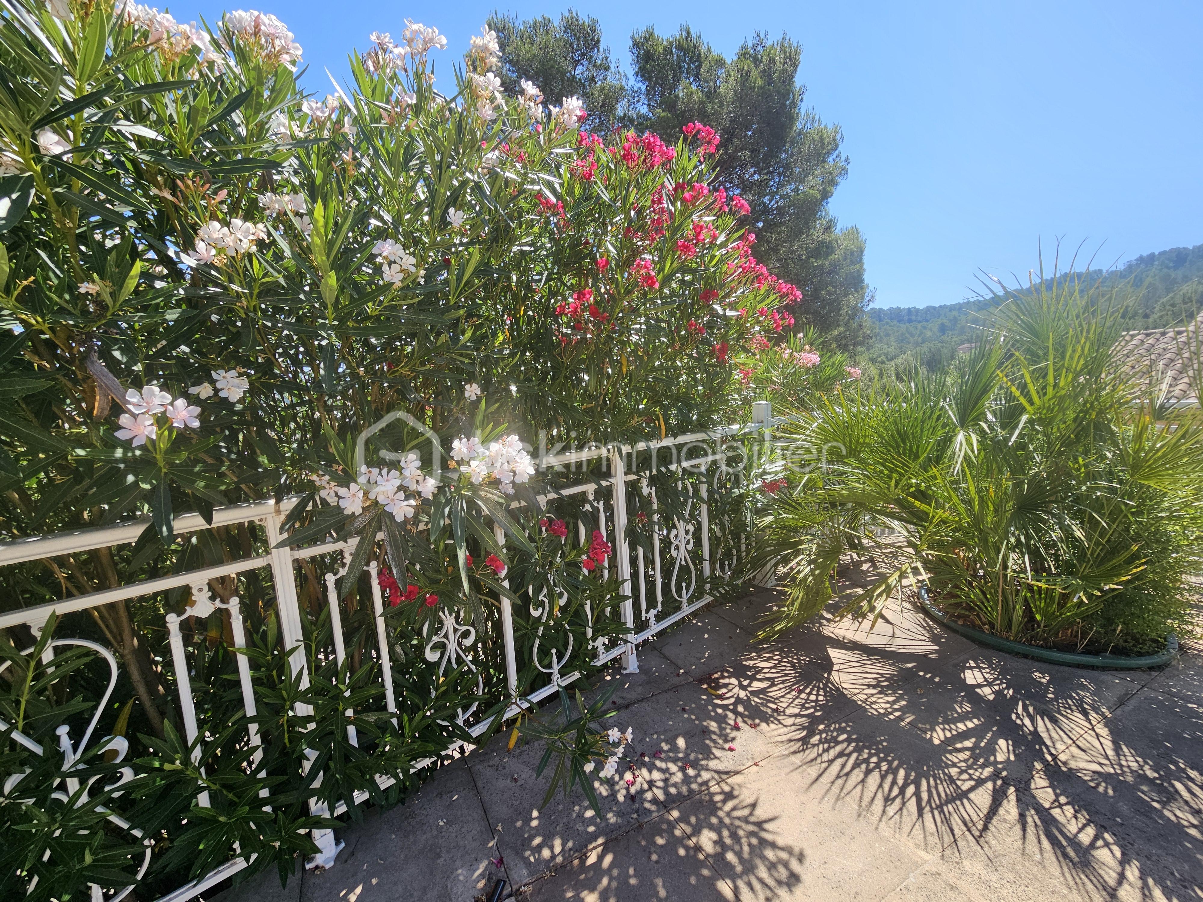 Maison provencale de 135 m² - 20250711_113739.jpg