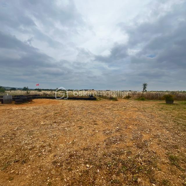 Terrain de 18 224 m² - IMG_5351.jpg