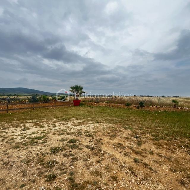 Terrain de 18 224 m² - IMG_5352.jpg