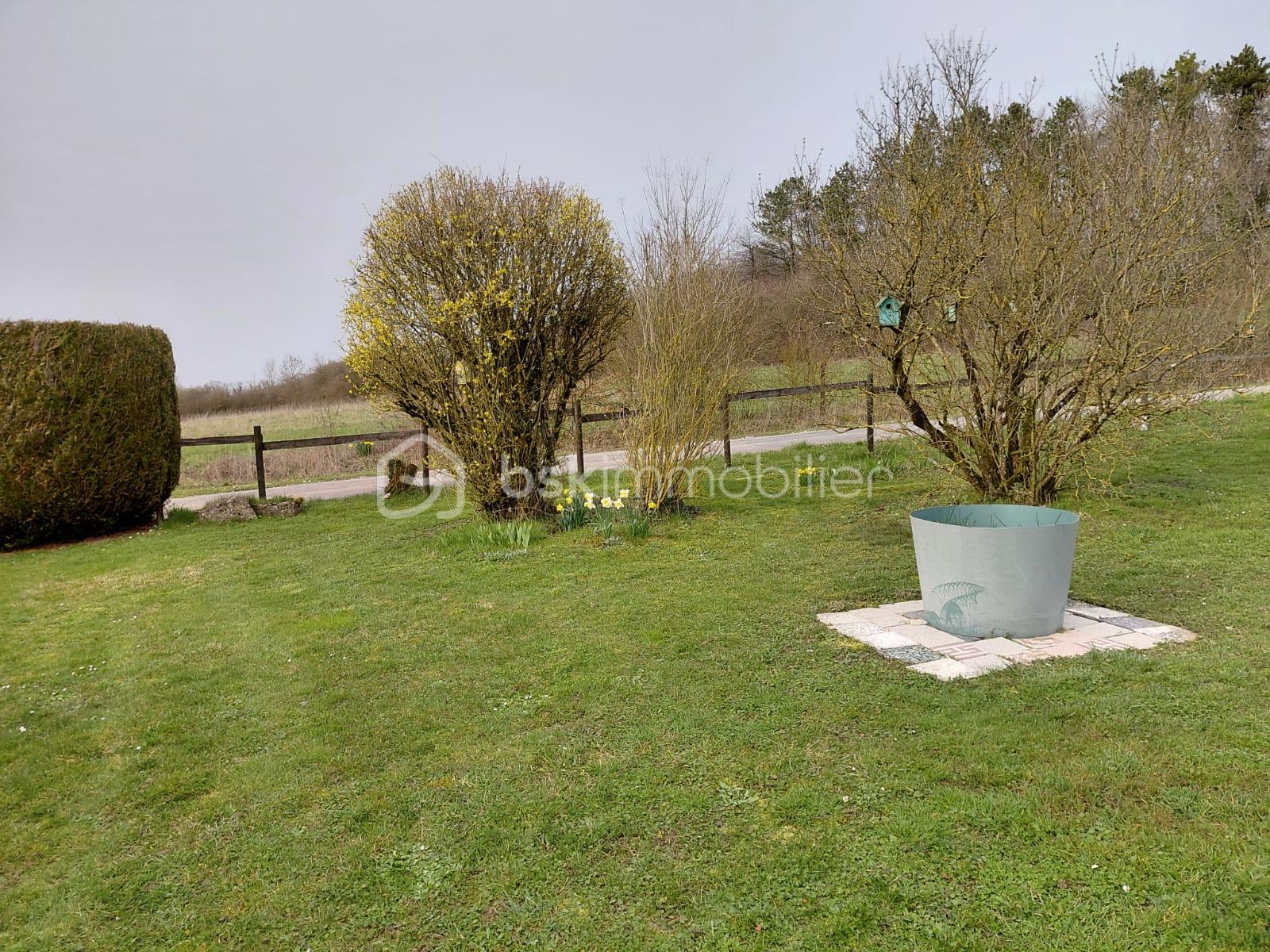 Raival estérieurs printemps3.JPG