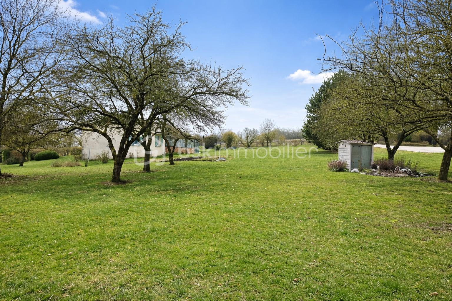 Paysage de campagne sous ciel bleu.png