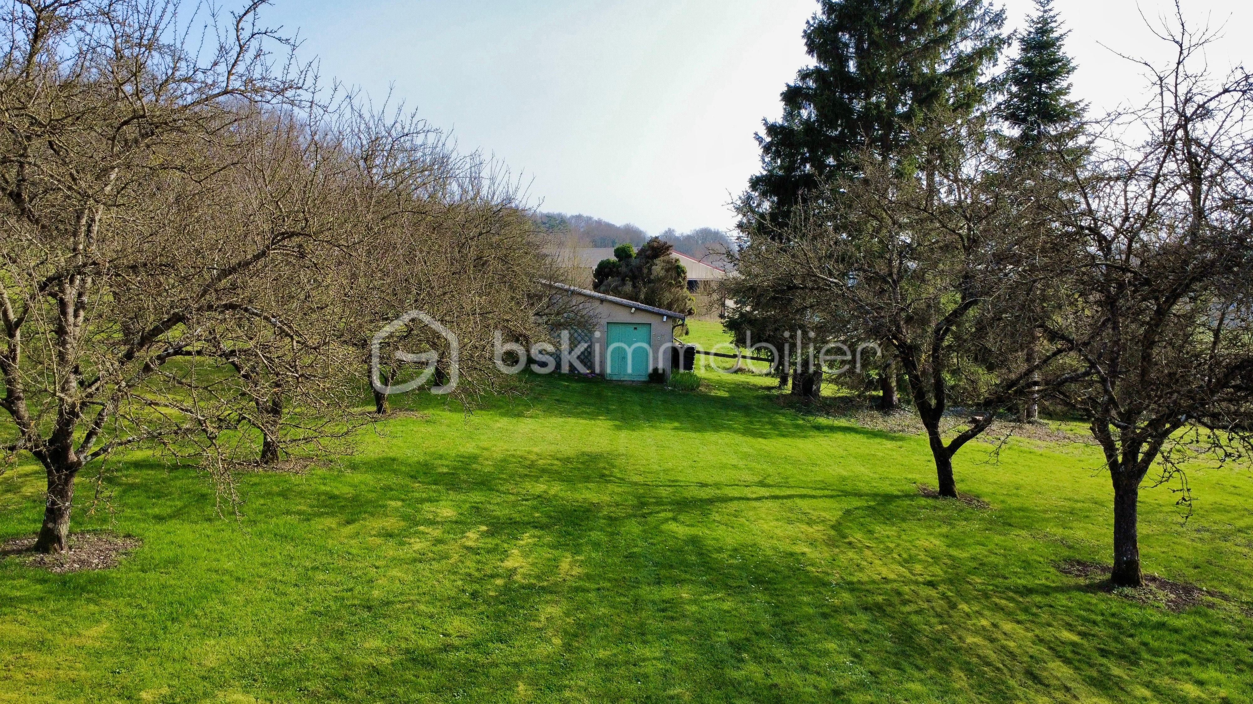 Raival estérieurs printemps 2 photos1.JPG