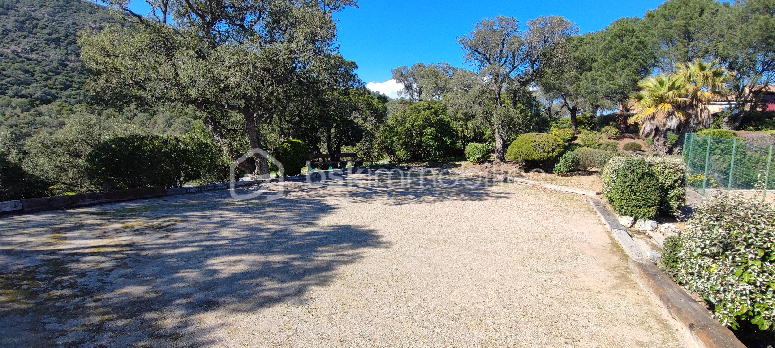 thierrin terrain boule.jpg