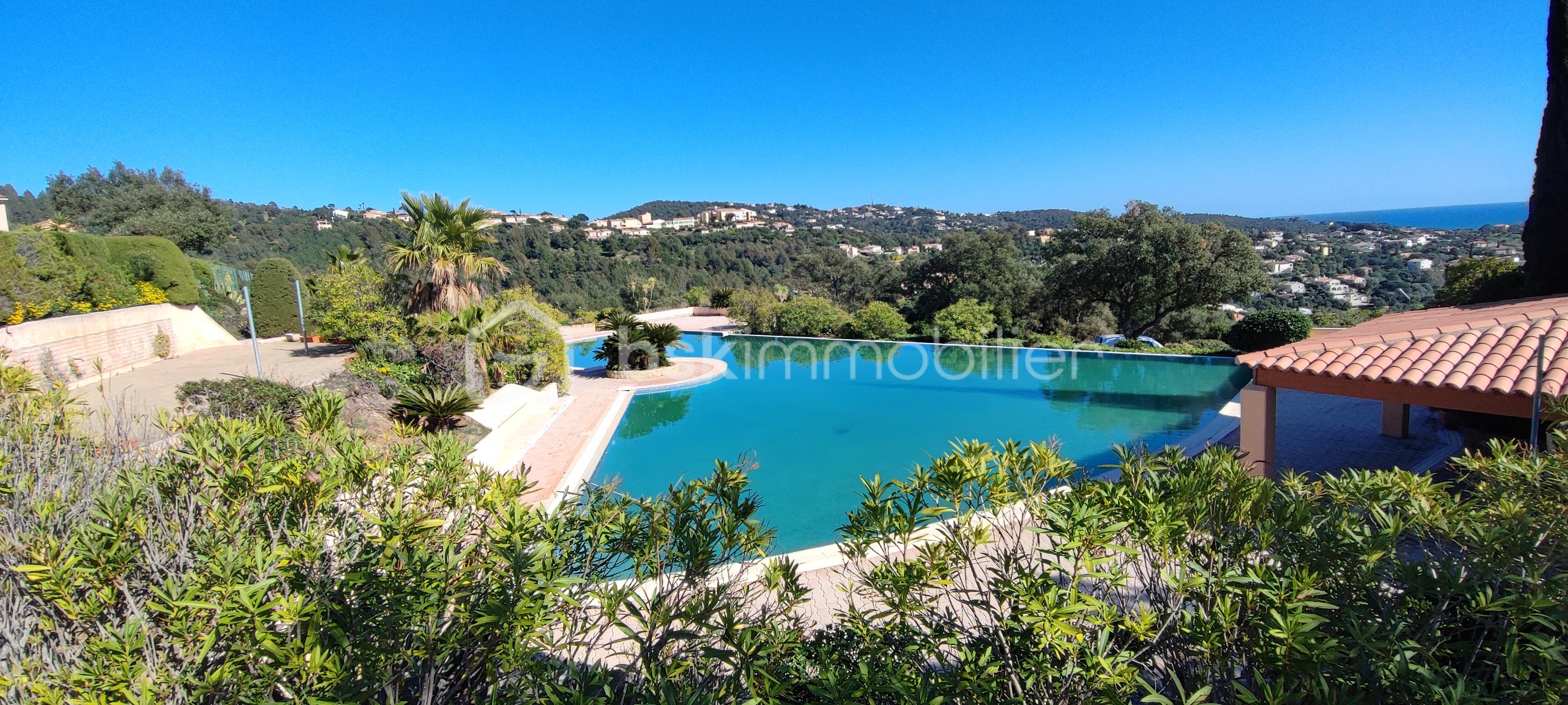 thierrin piscine.jpg