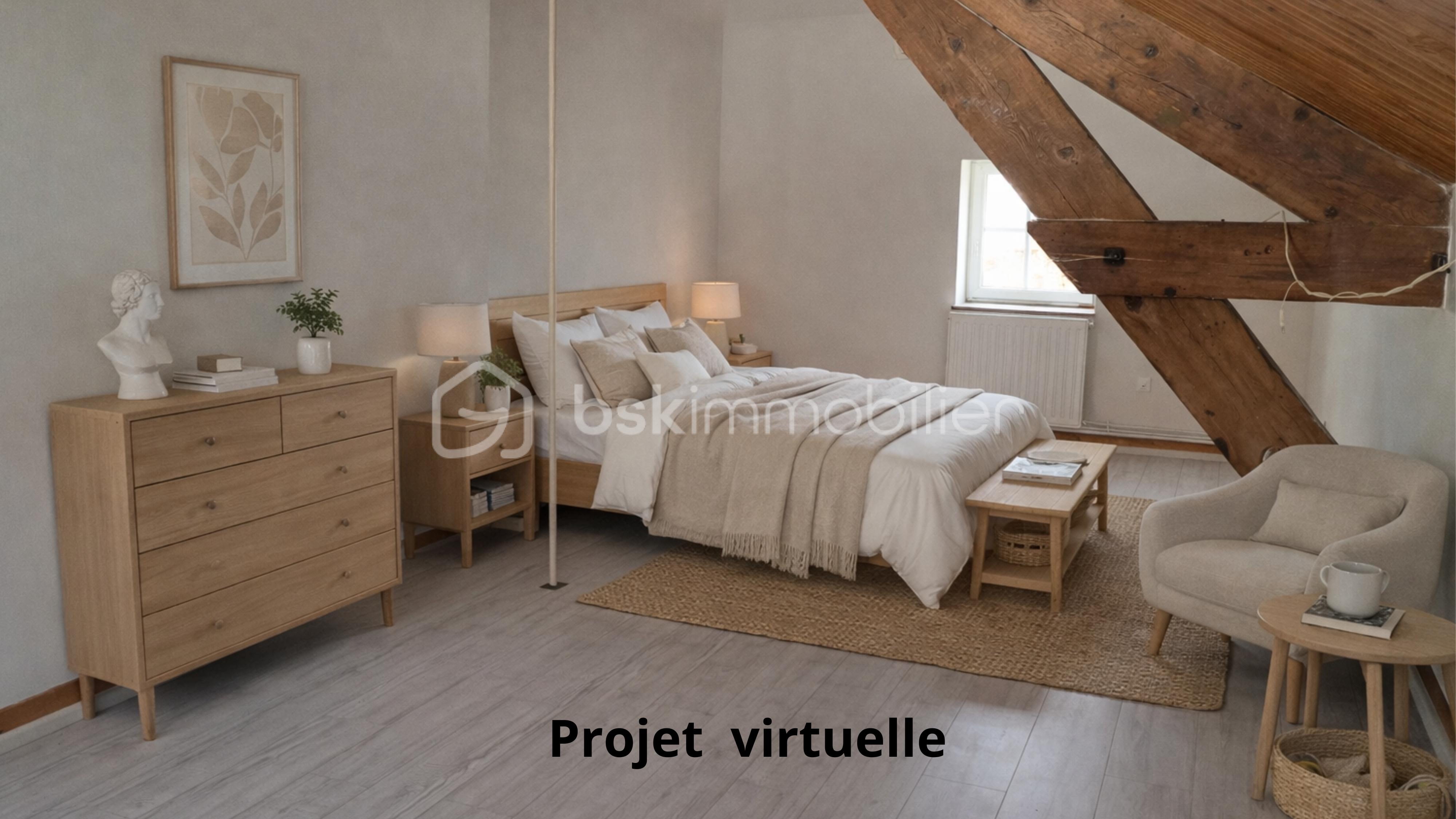 Projet virtuelle (1).png