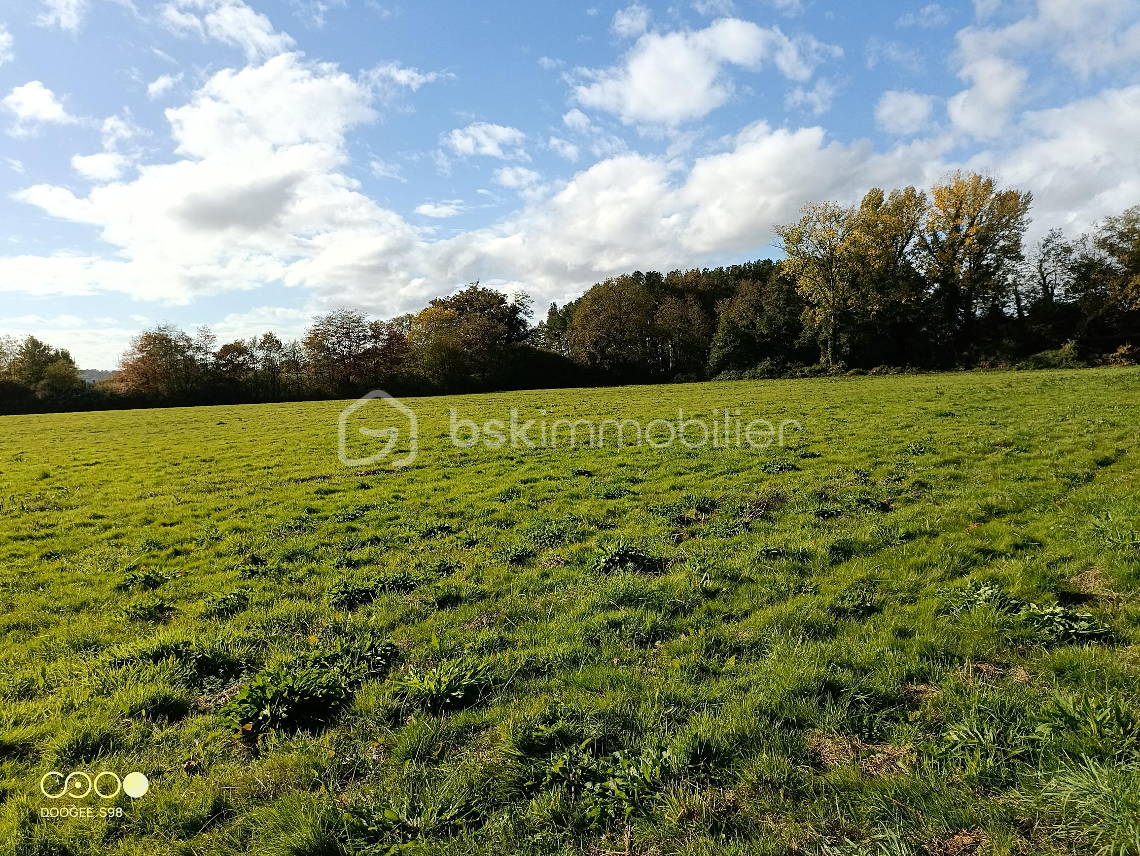 Terrain agricole de 150 960 m² - 20251021 PLATEAU 2B.jpg