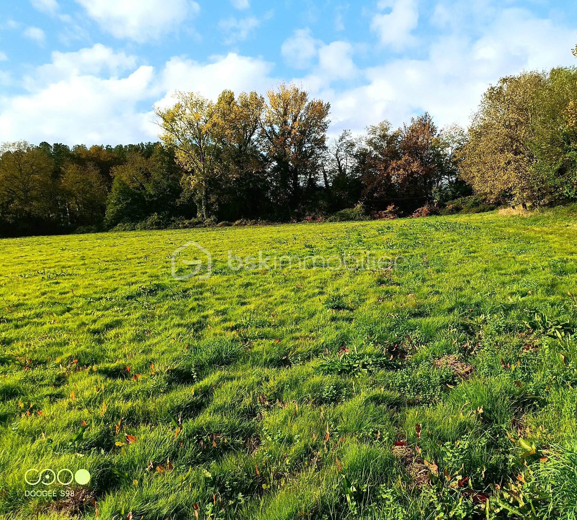 Terrain agricole de 150 960 m² - 20251021 PLATEAU 2A.jpg