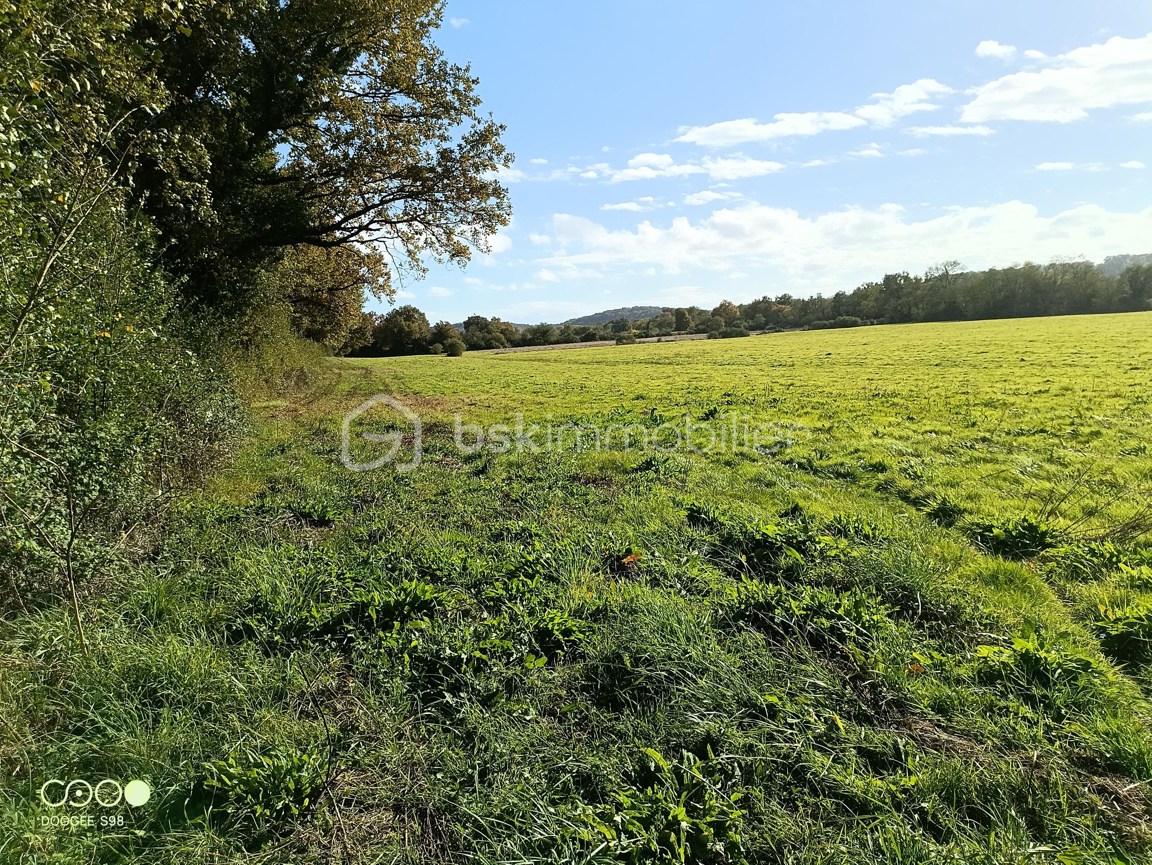 Terrain agricole de 150 960 m² - 20251021 PLATEAU 2.jpg