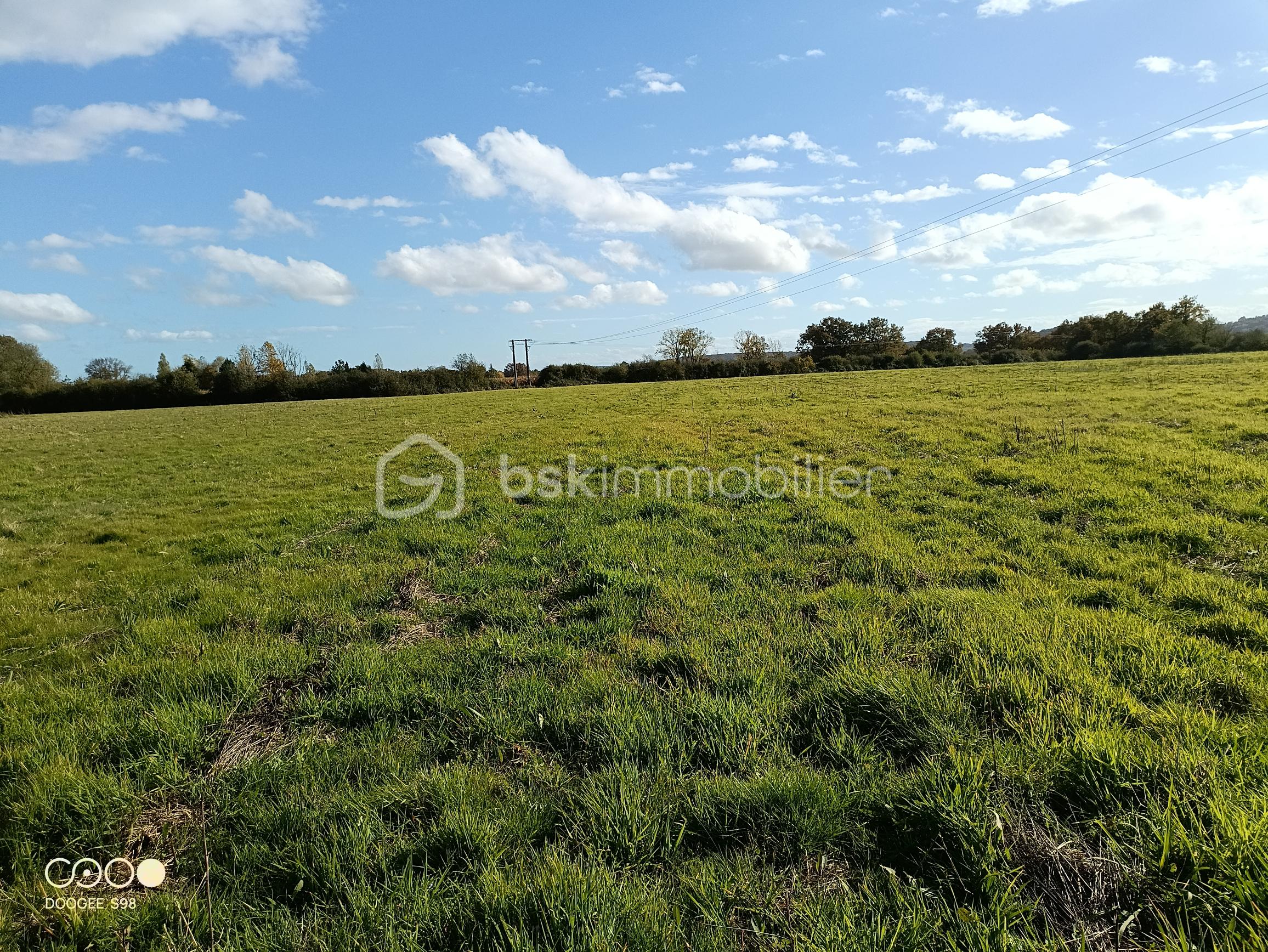 Terrain agricole de 150 960 m² - 20251021 PLATEAU 1.jpg