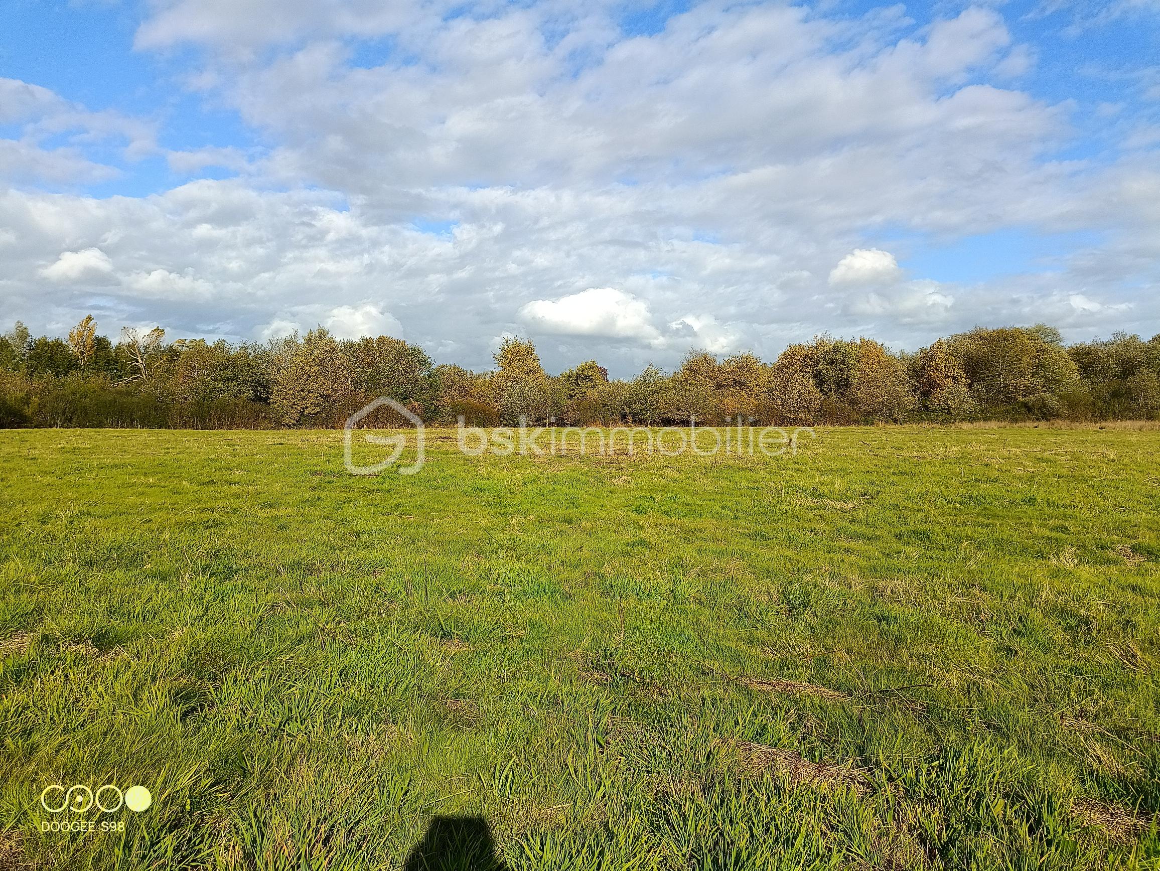 Terrain agricole de 150 960 m² - 20251021 PLATEAU 1A.jpg