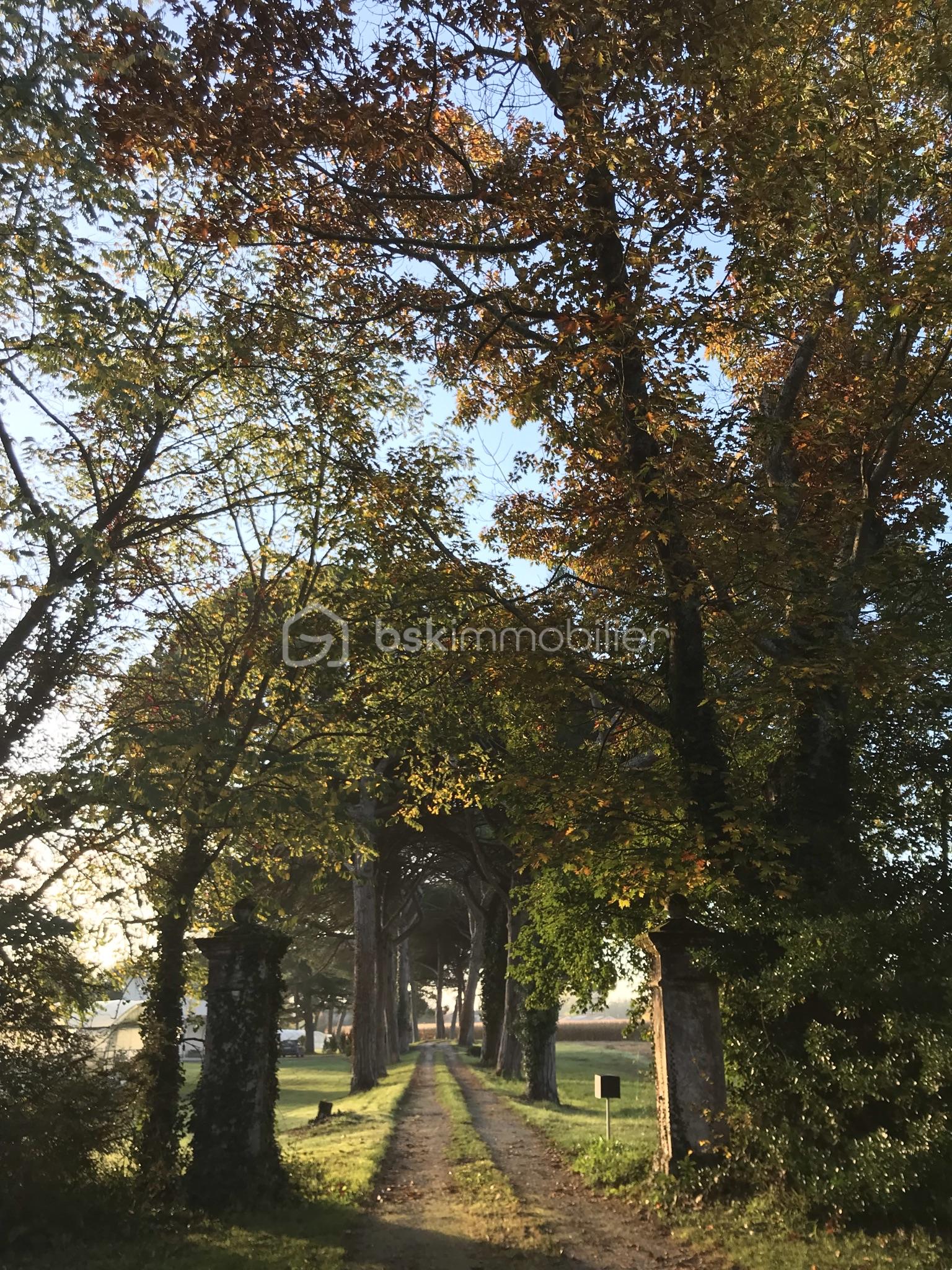 68-LE SINANGE_L'allée.JPEG