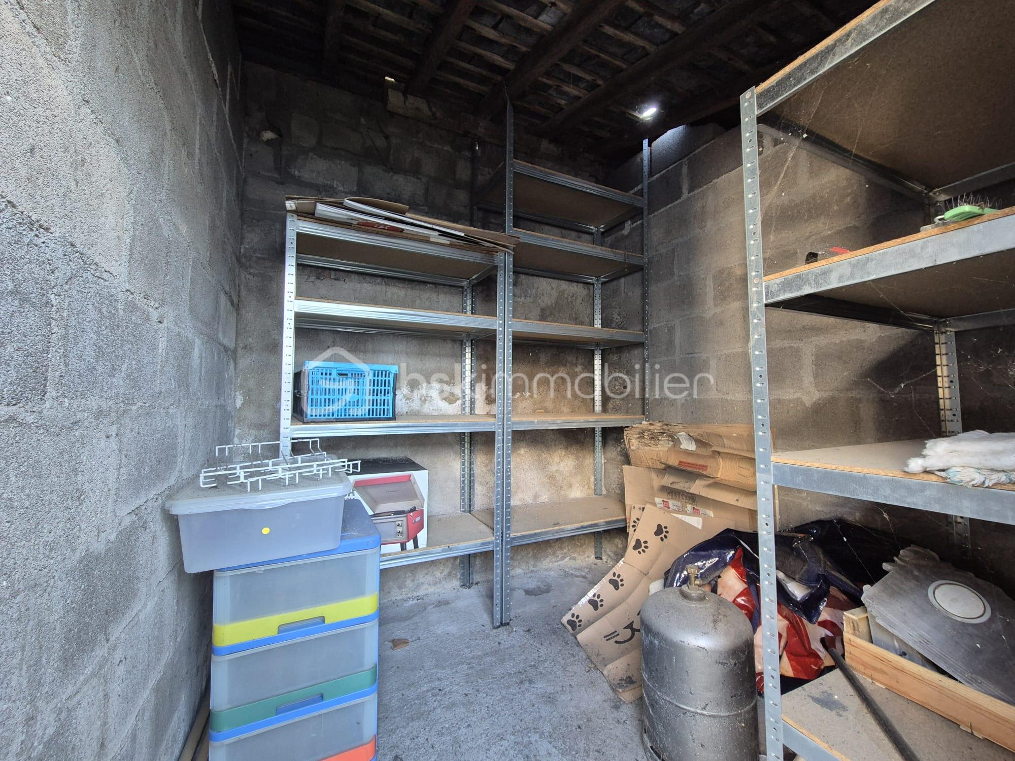 WhatsApp Image 2026-03-20 at 23.06.50 (3).jpeg