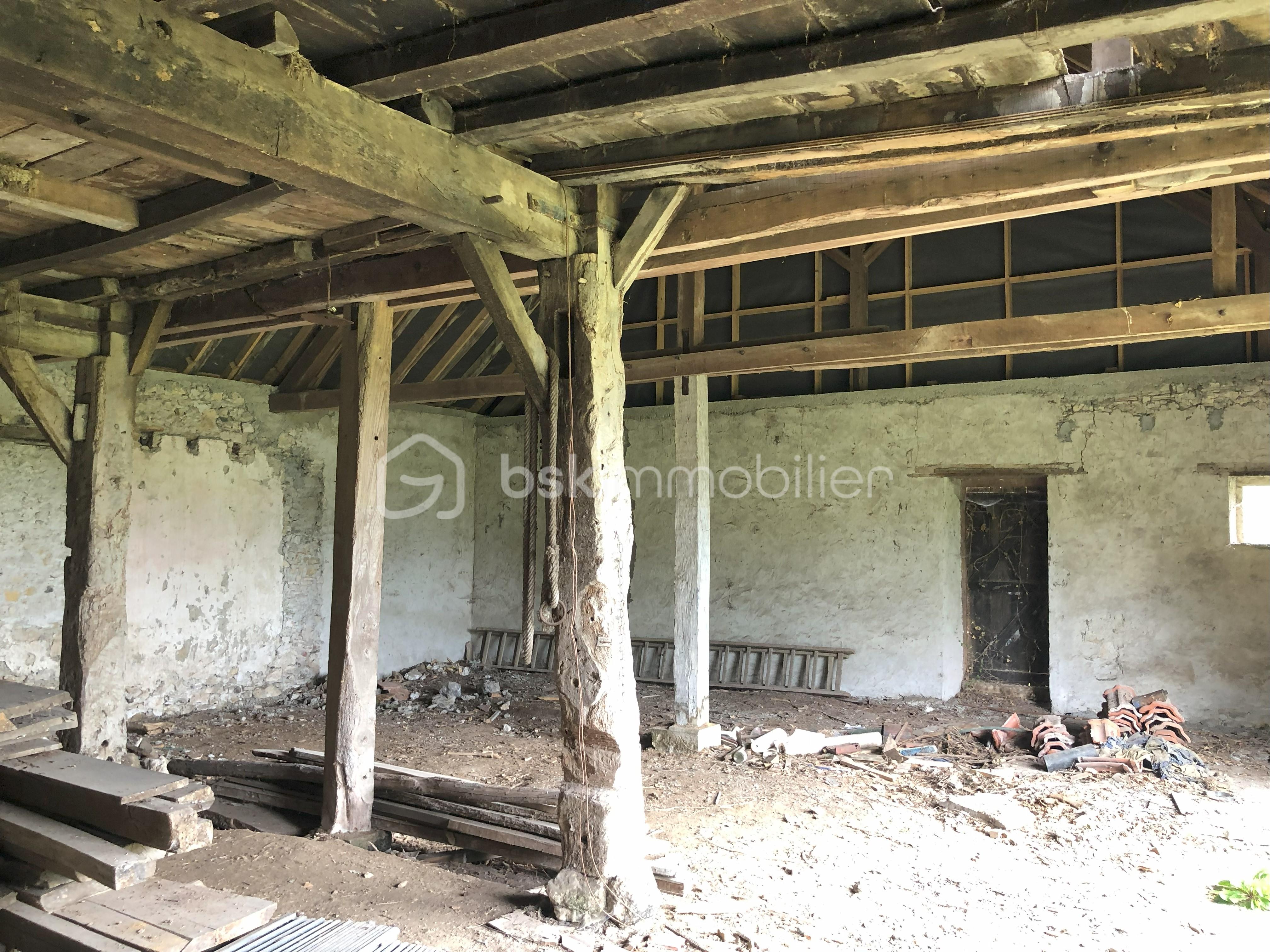 IMG_0232 - Copie.jpeg