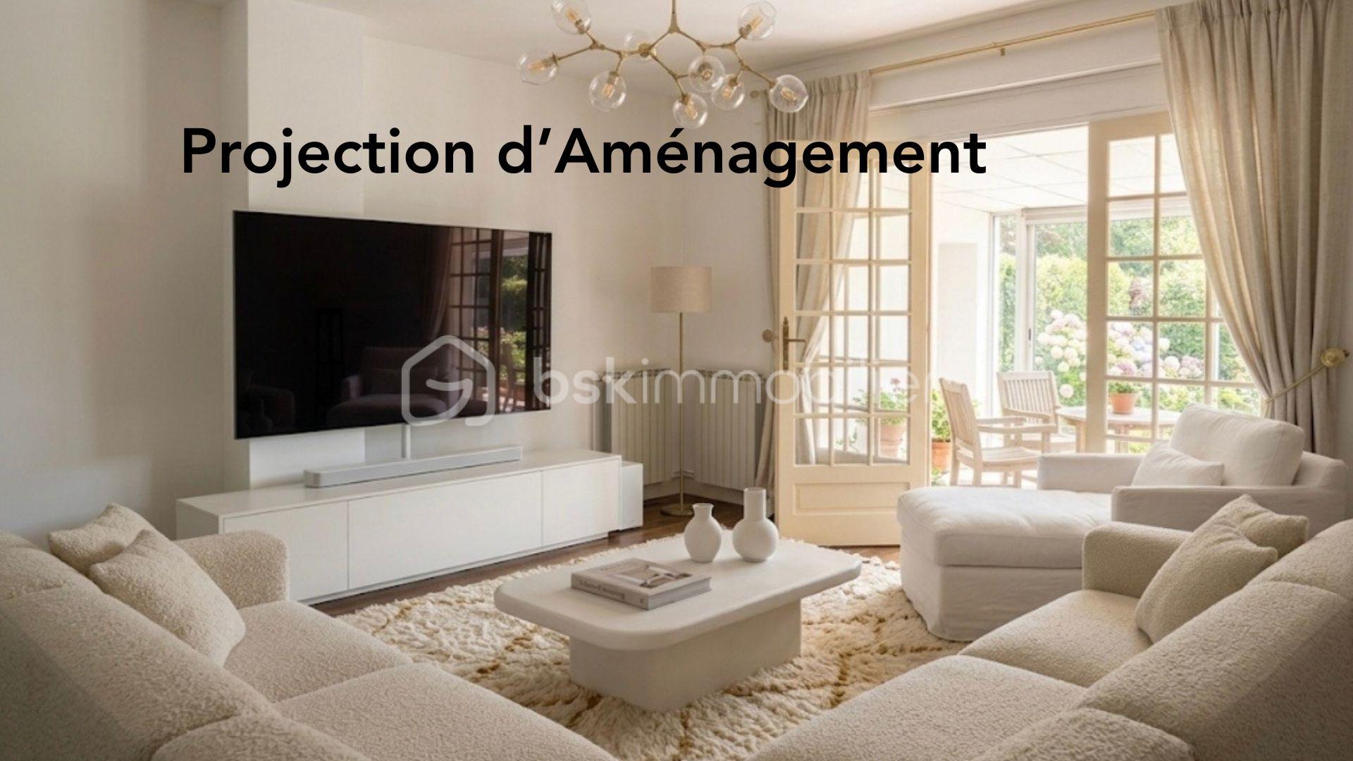 Projection d’Aménagement salon (4).jpg