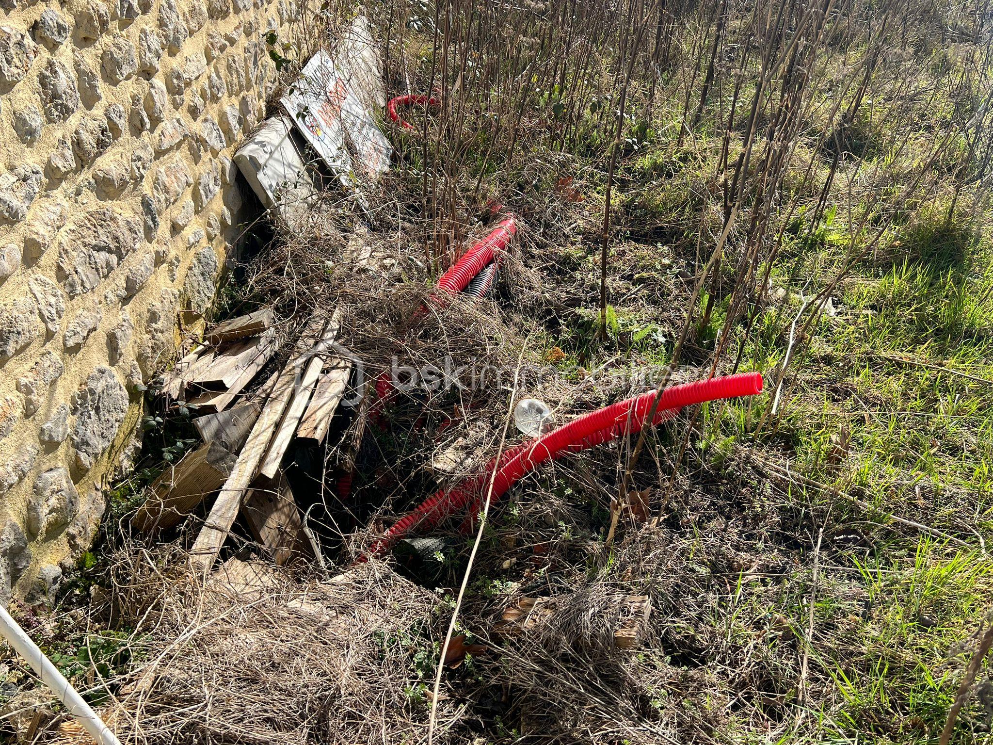 WhatsApp Image 2026-02-17 at 12.04.31.jpeg