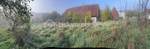 IMG_3959.jpeg