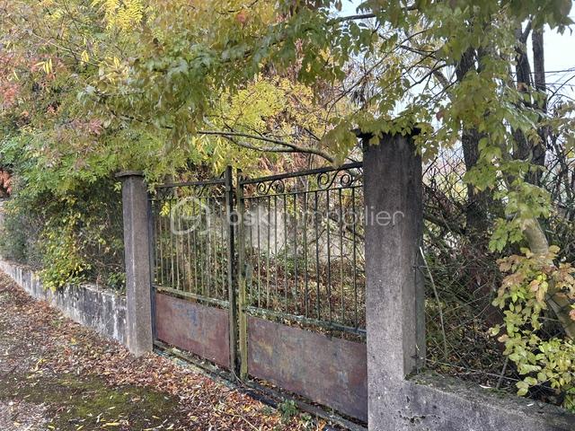 IMG_4018.jpeg