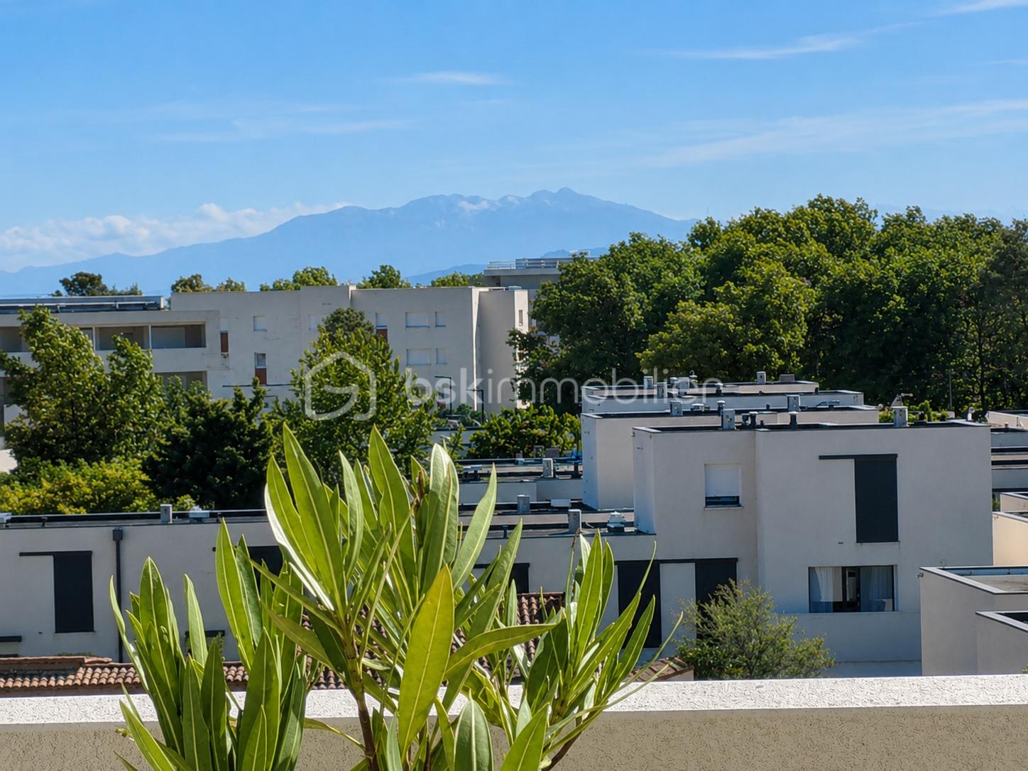 vue Canigou.png