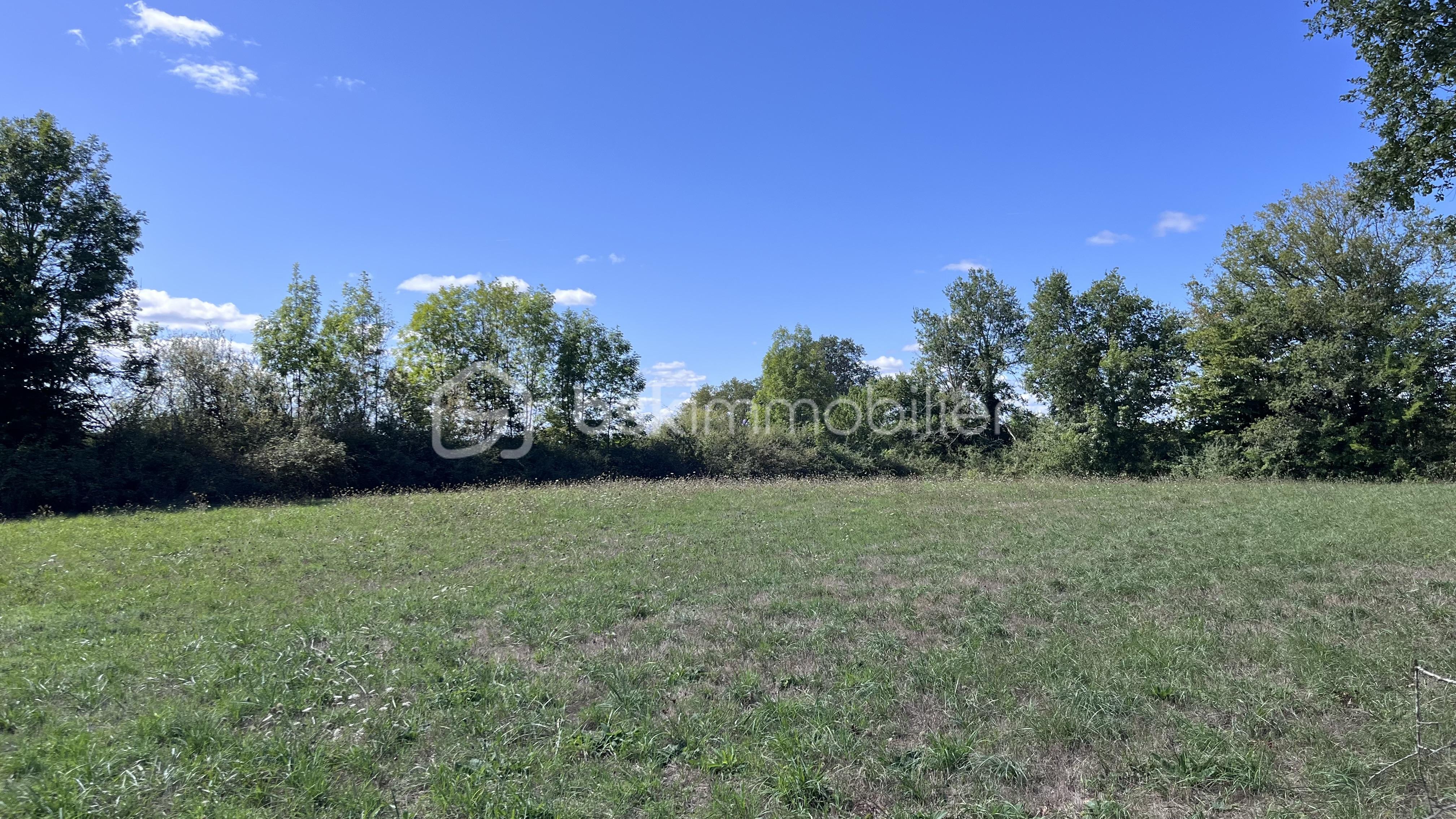 Terrain de 4 618 m² - IMG_2381.jpg