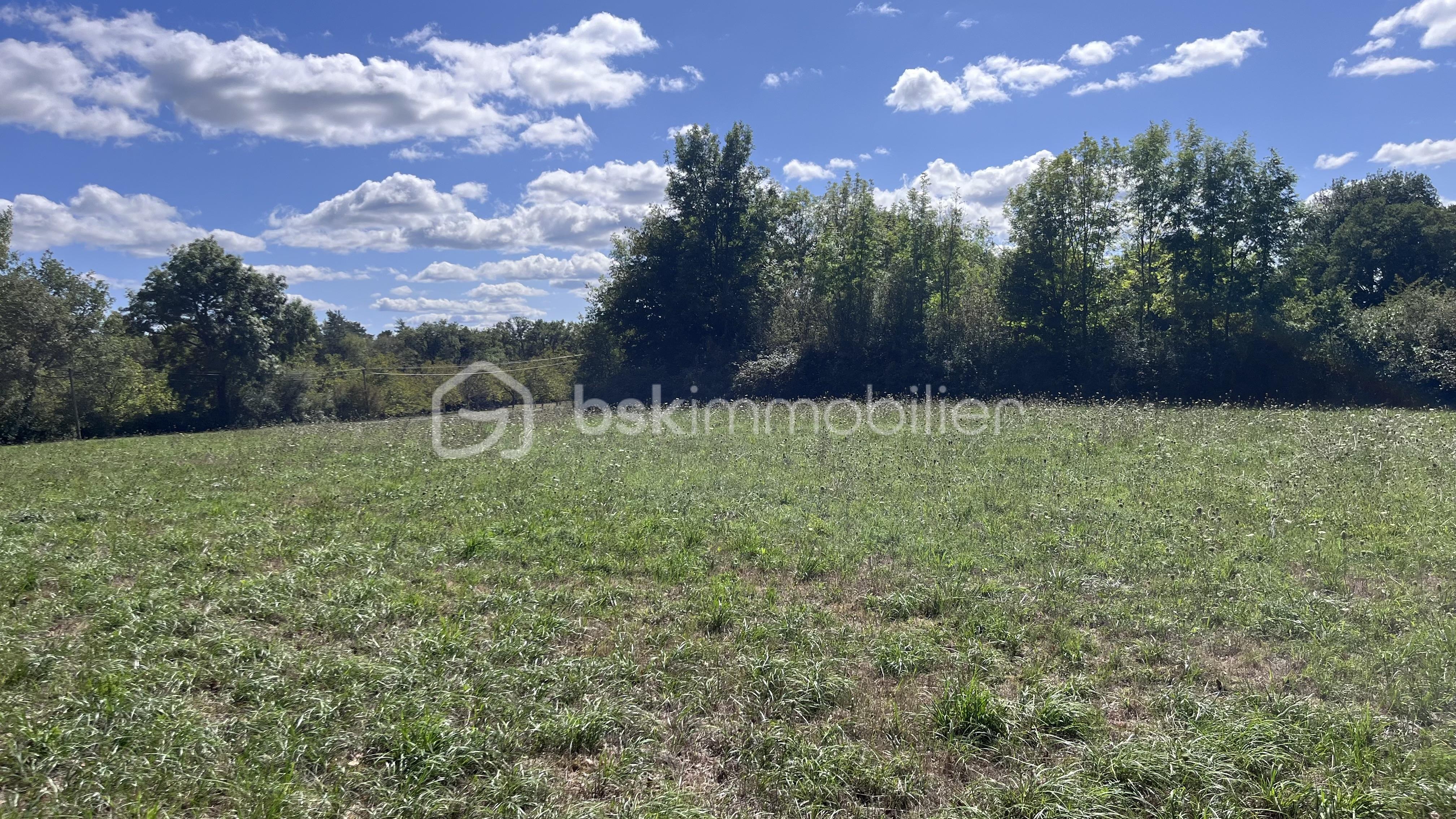 Terrain de 4 618 m² - IMG_2382.jpg