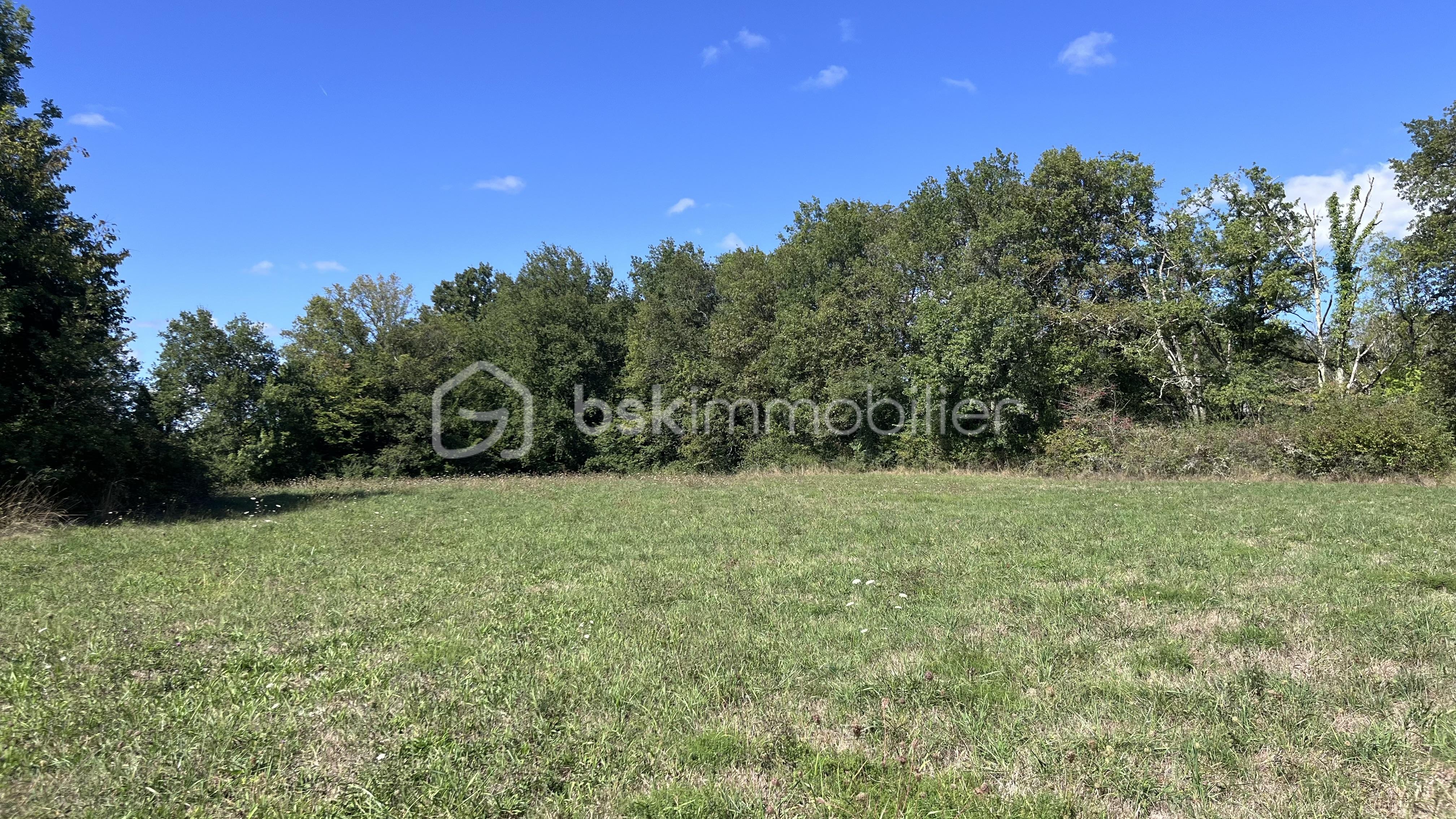 Terrain de 4 618 m² - IMG_2383.jpg