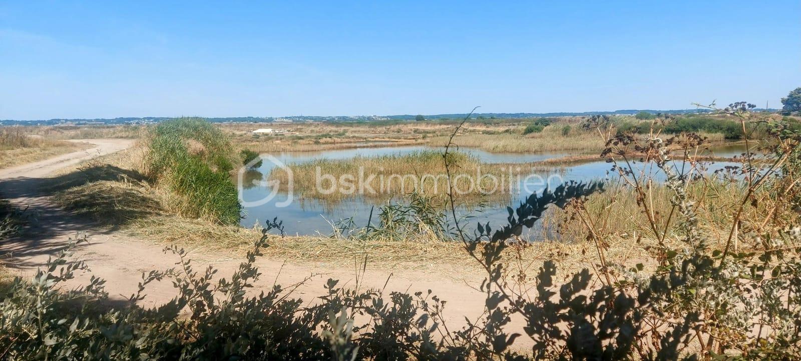 Maison de 168 m² - S17.jpg