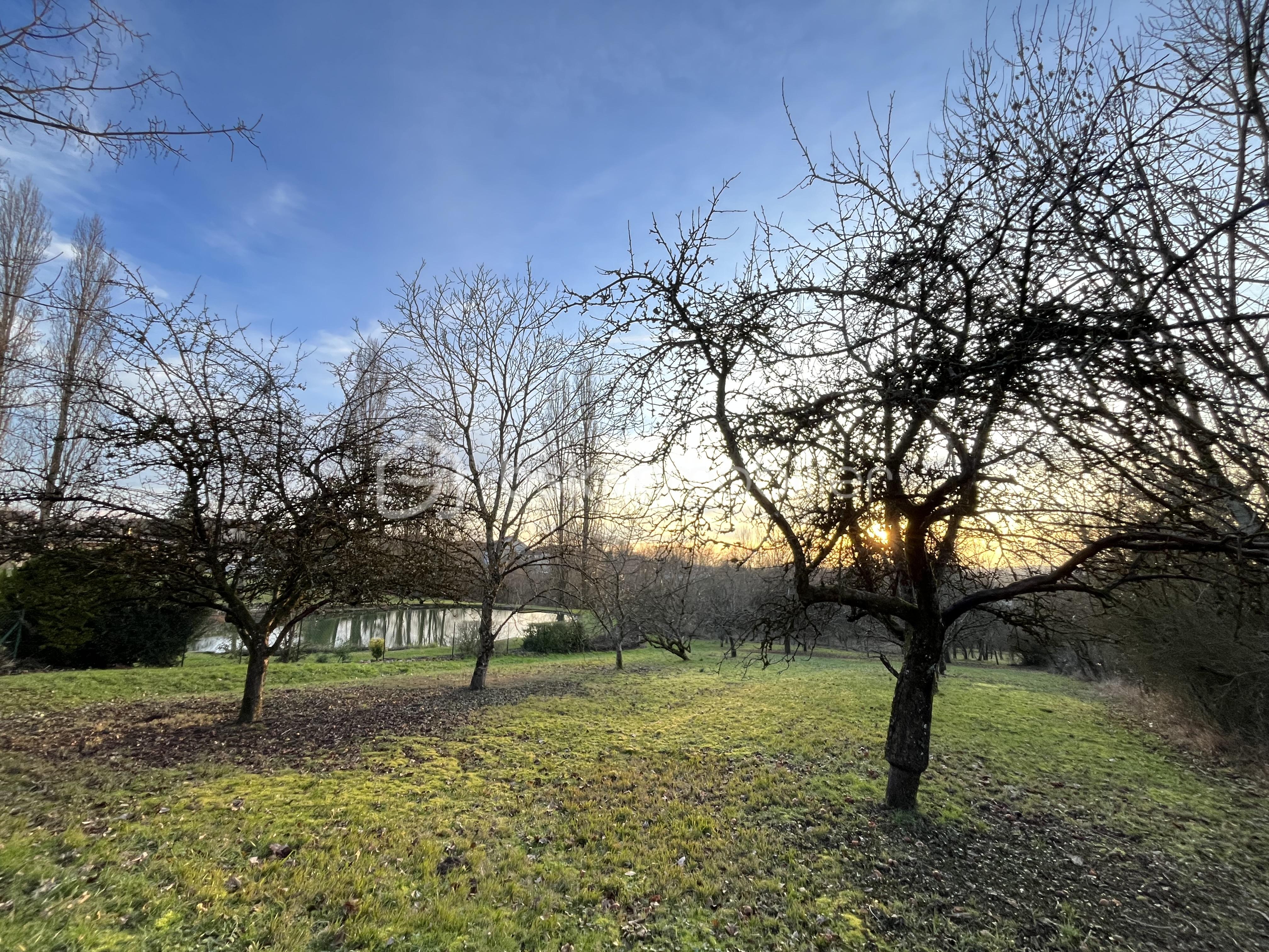 Terrain de 956 m² - IMG_1701.jpeg