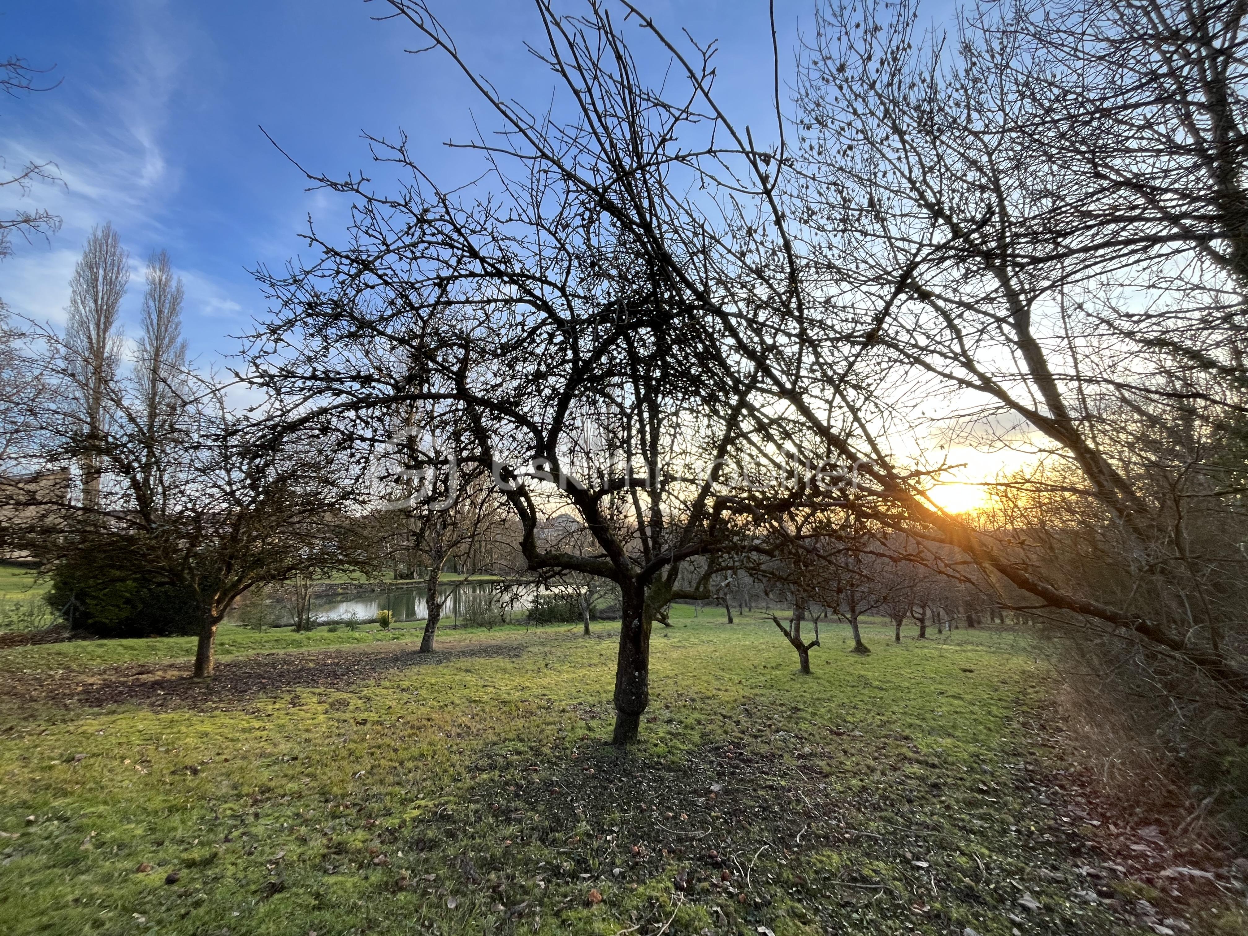 Terrain de 956 m² - IMG_1702.jpeg