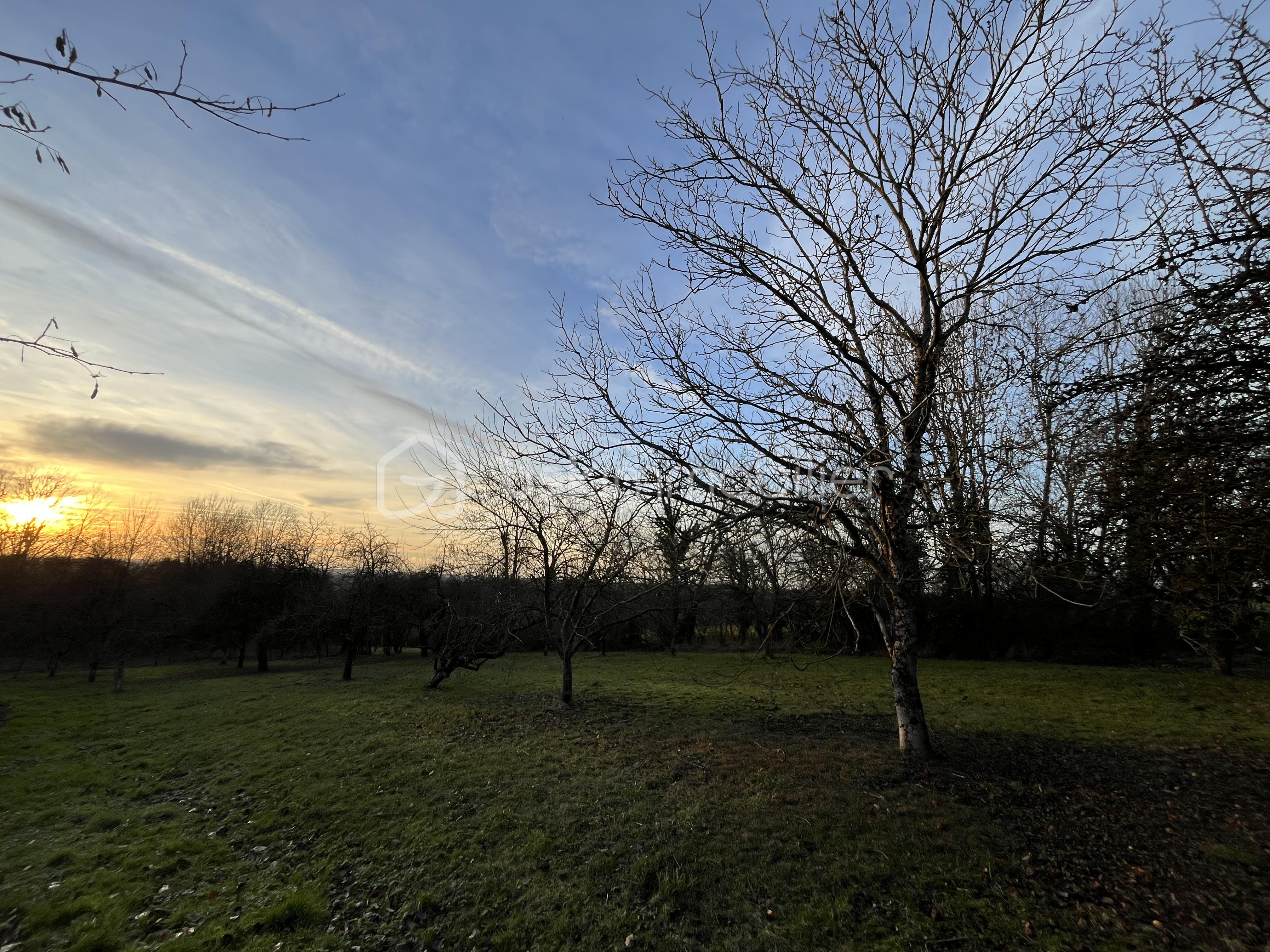 Terrain de 956 m² - IMG_1699.jpeg