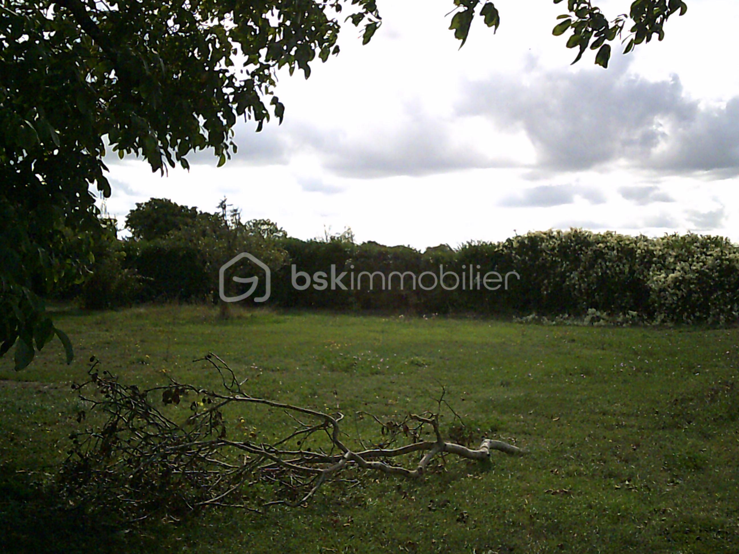 Terrain de 685 m² - terrain à vendre saint martin la pallu 86380.JPG