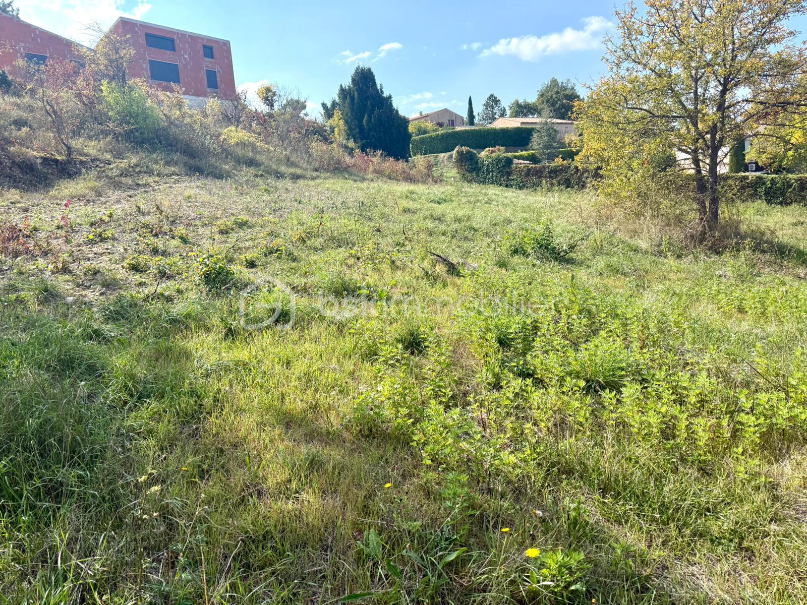 Terrain de 2 760 m² - TERRAIN MURA J.jpg
