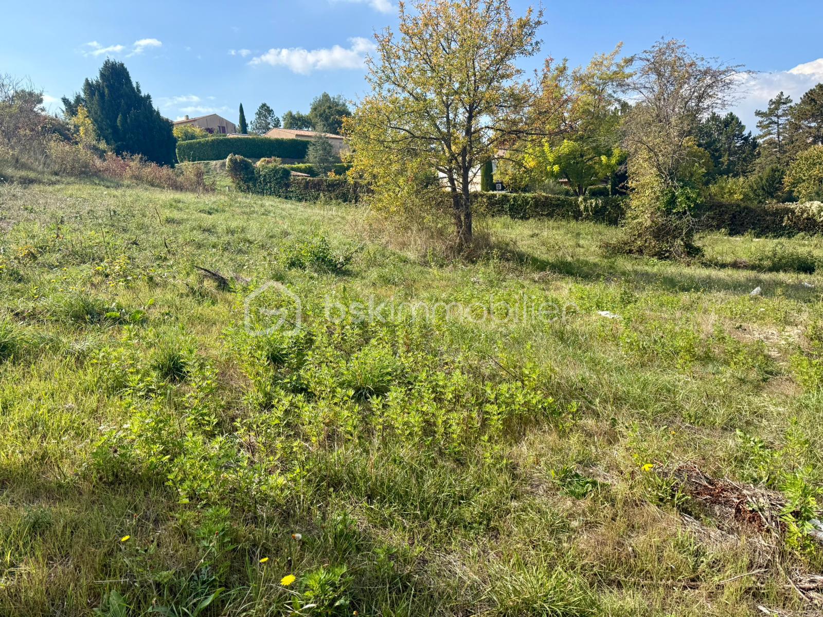 Terrain de 2 760 m² - TERRAIN MURA F.jpg