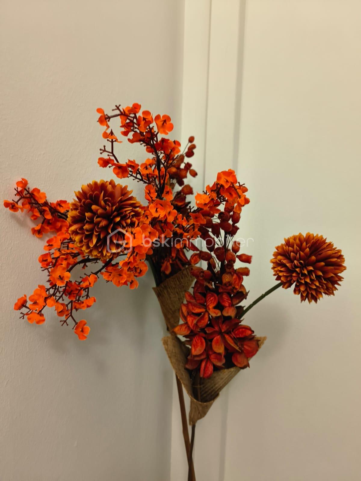 Maison de 77 m² - 1000012199.jpg