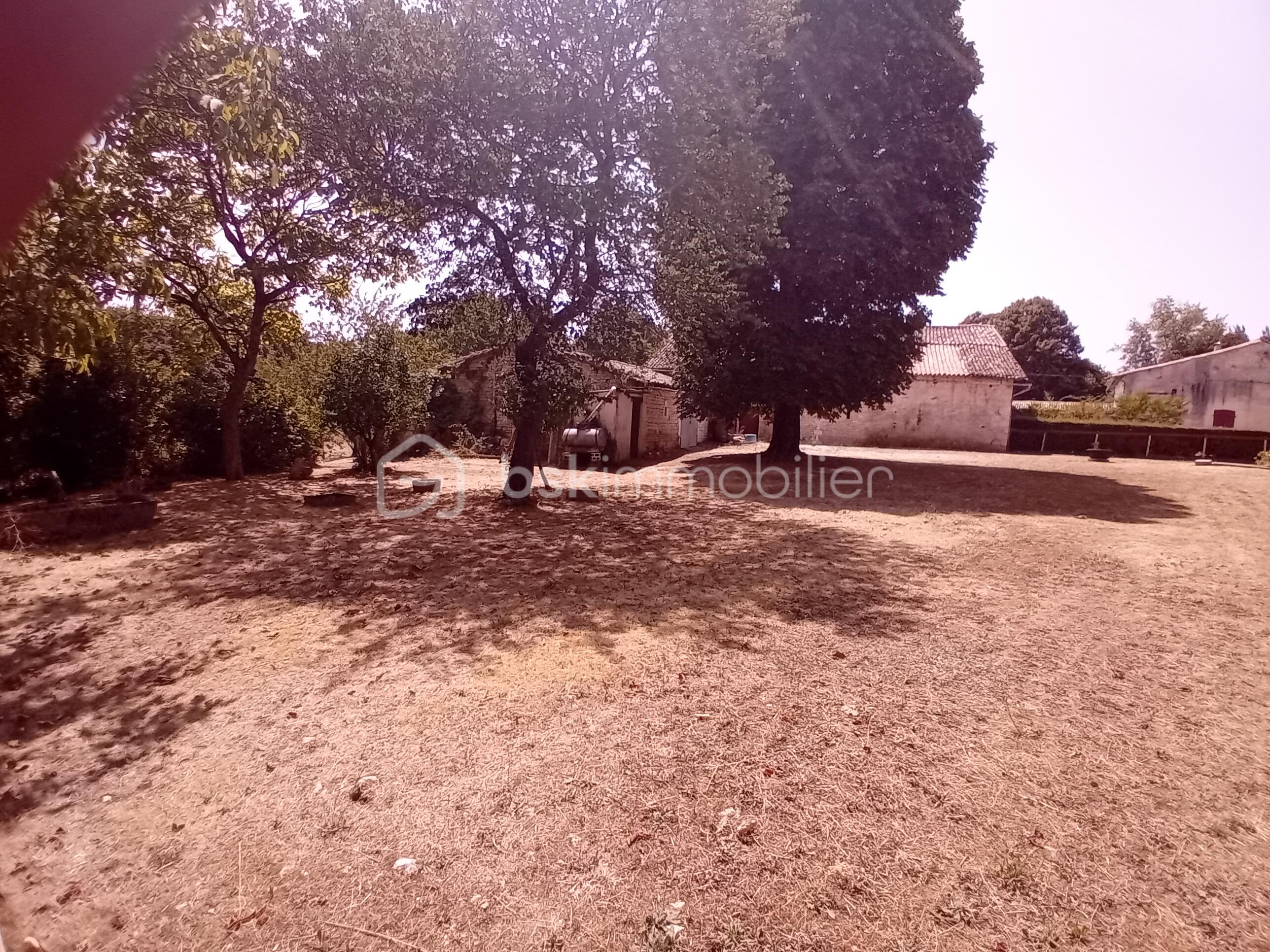 20260722_140458.jpg