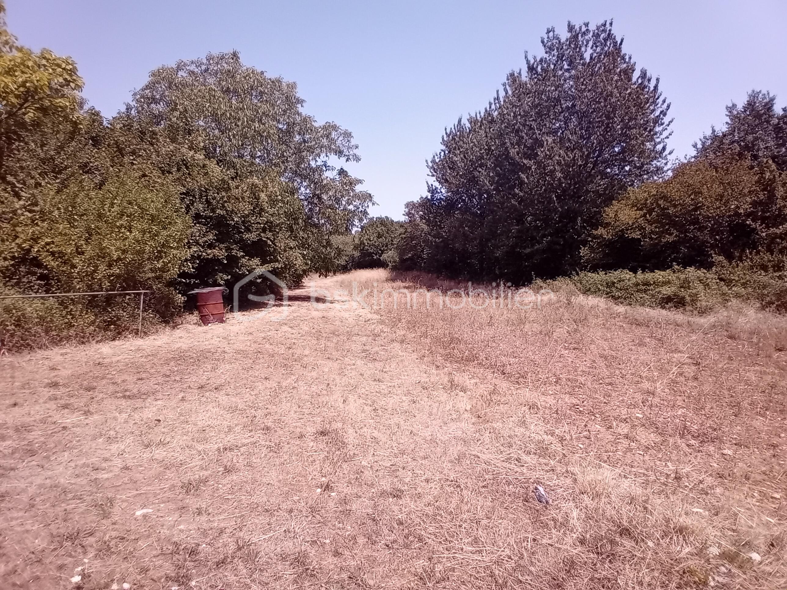 20260722_140600.jpg