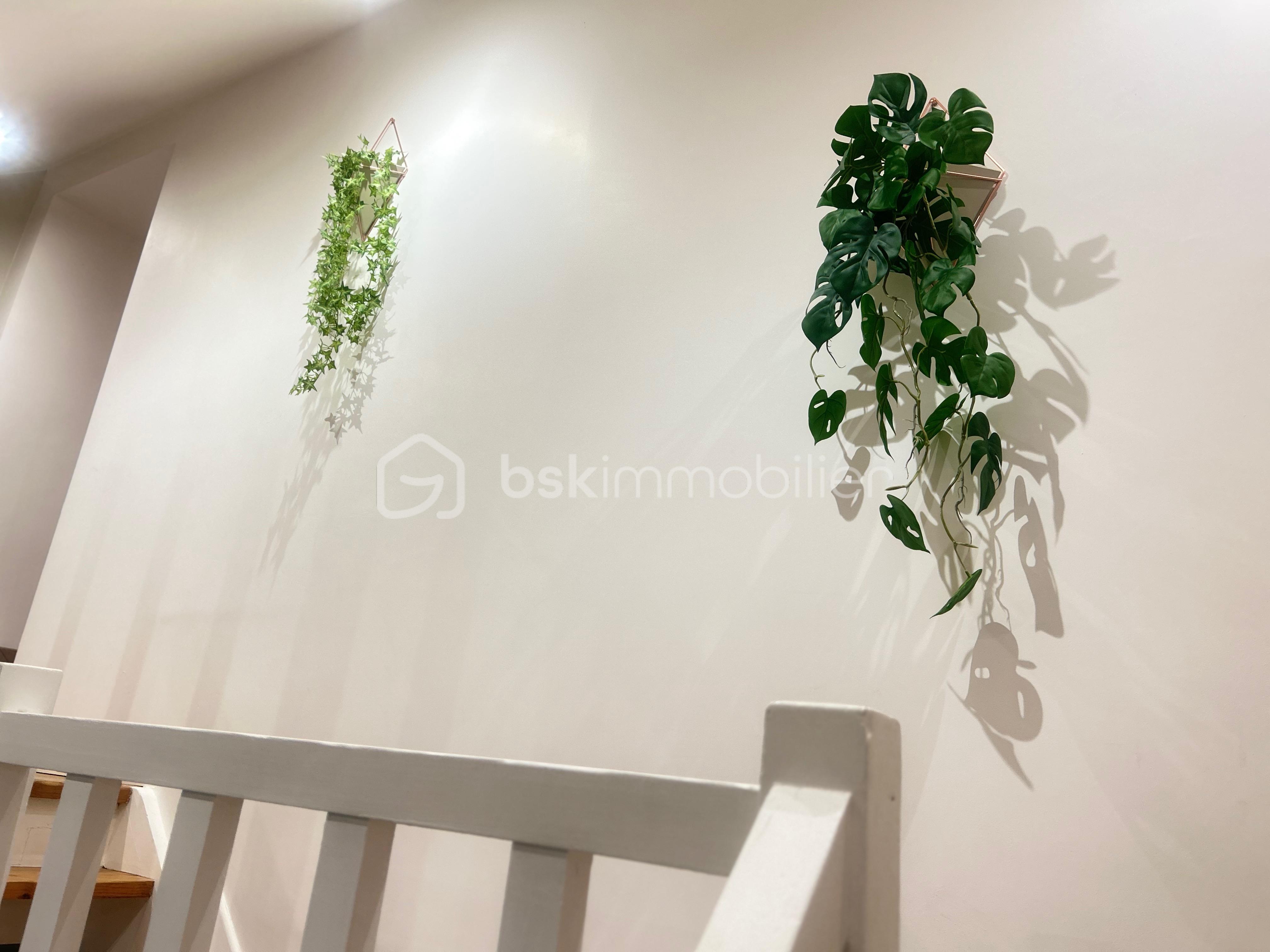 Maison ancienne de 180 m² - IMG_8138.jpeg