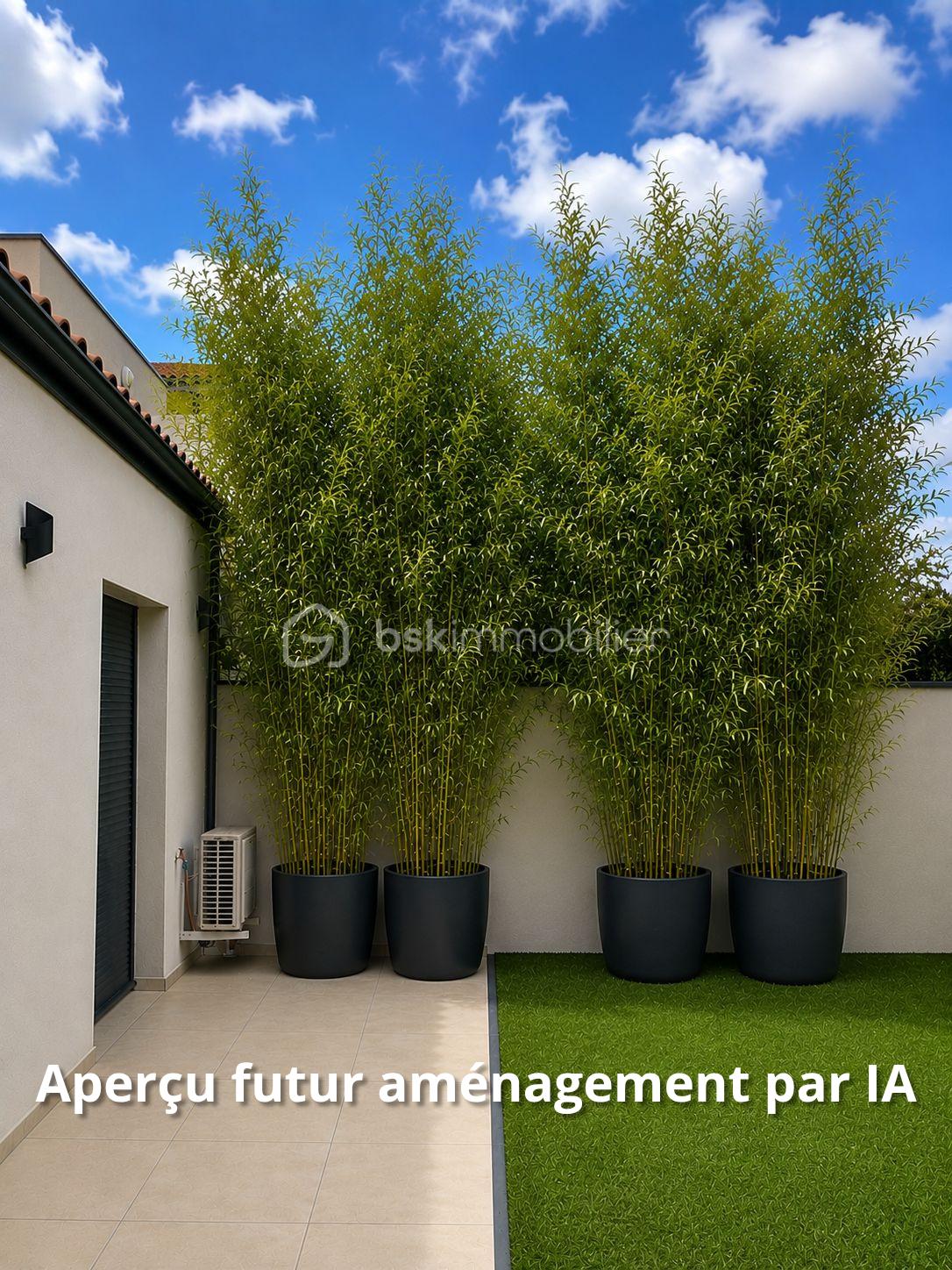 Aperçu futur aménagement par IA.png