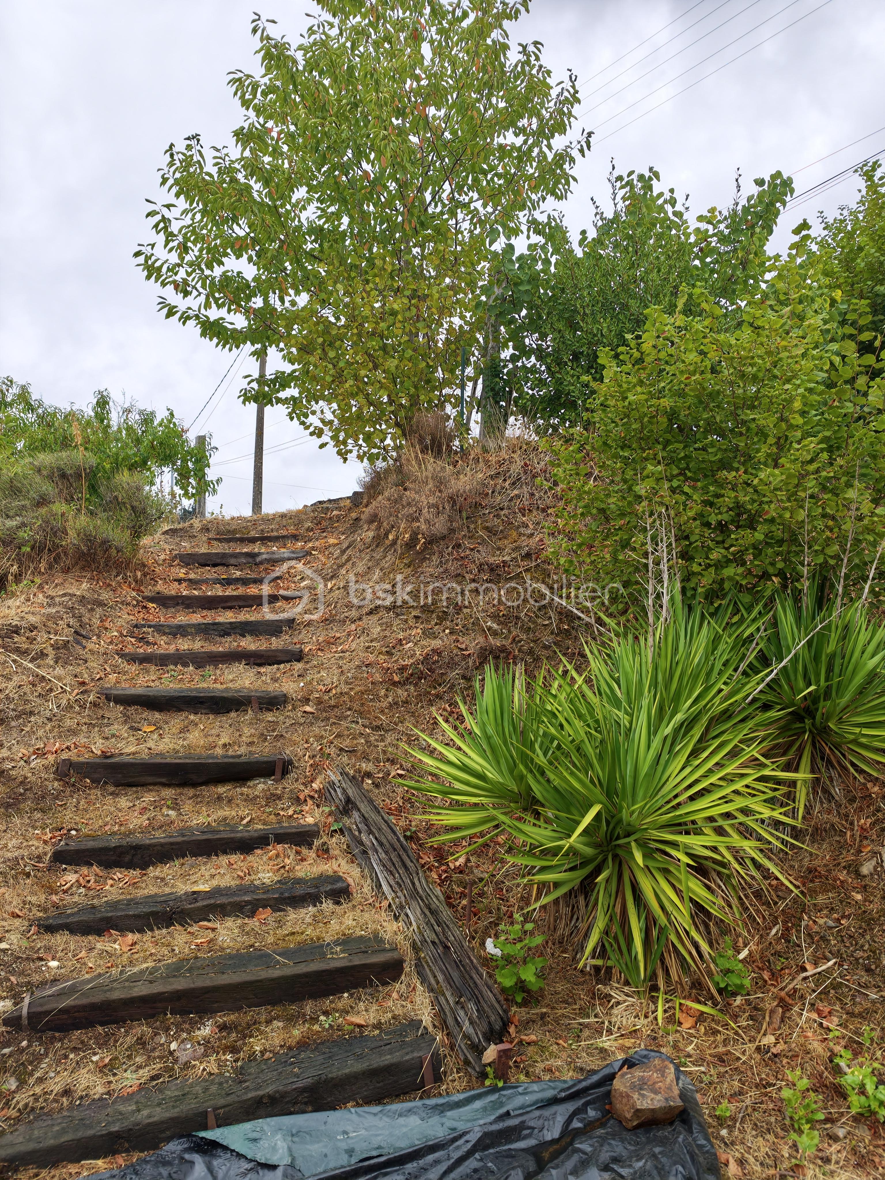 9187.jpg
