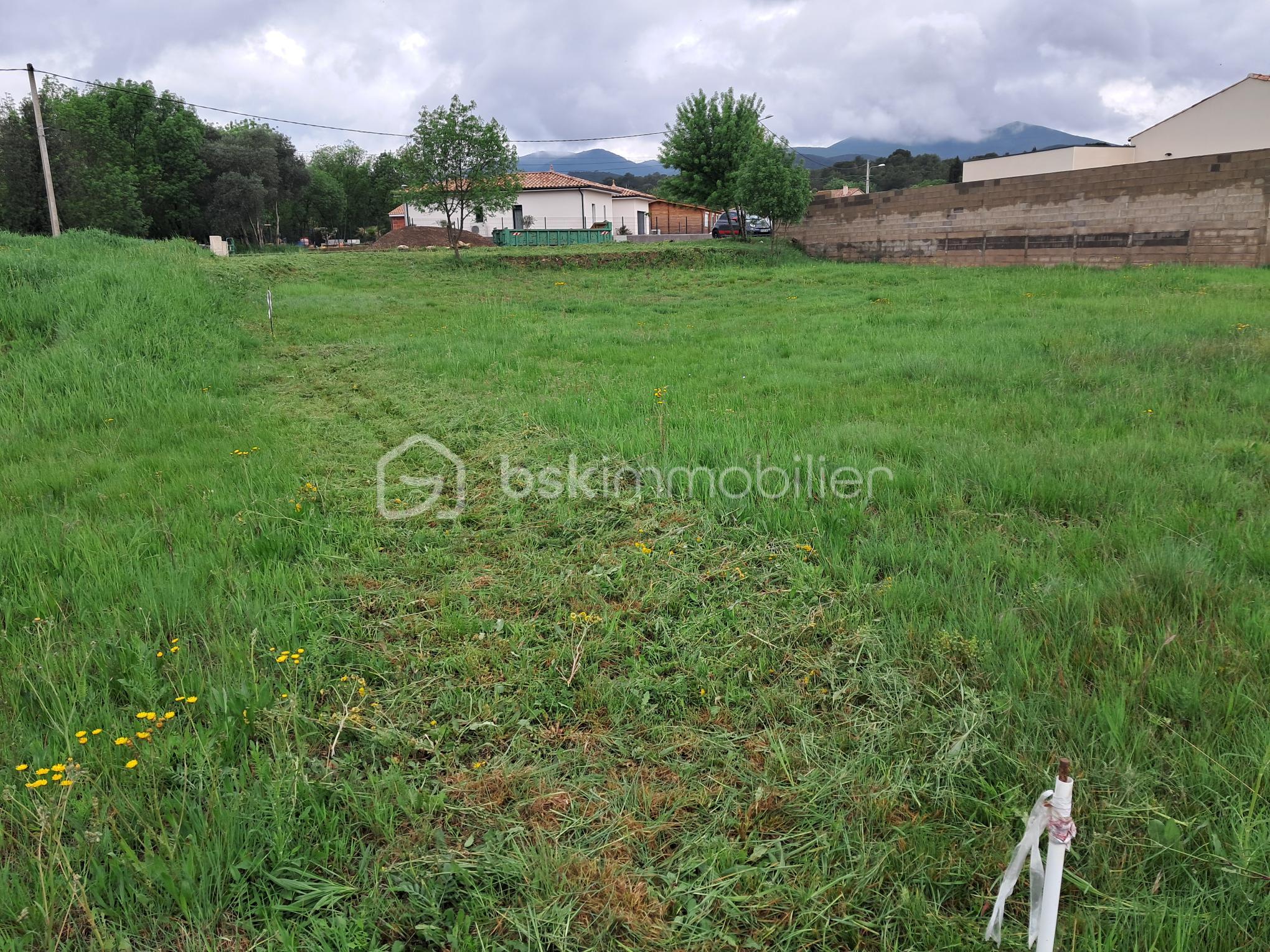 Lotissement de 1 450 m² - terrain 8 vue vers route bis.jpg