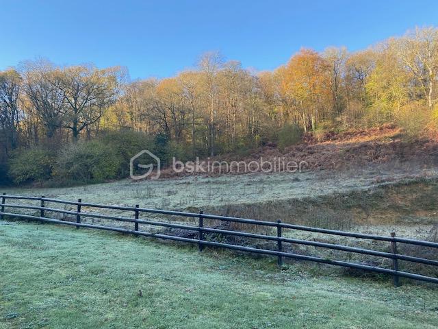 Maison ancienne de 100,35 m² - terrain.jpg