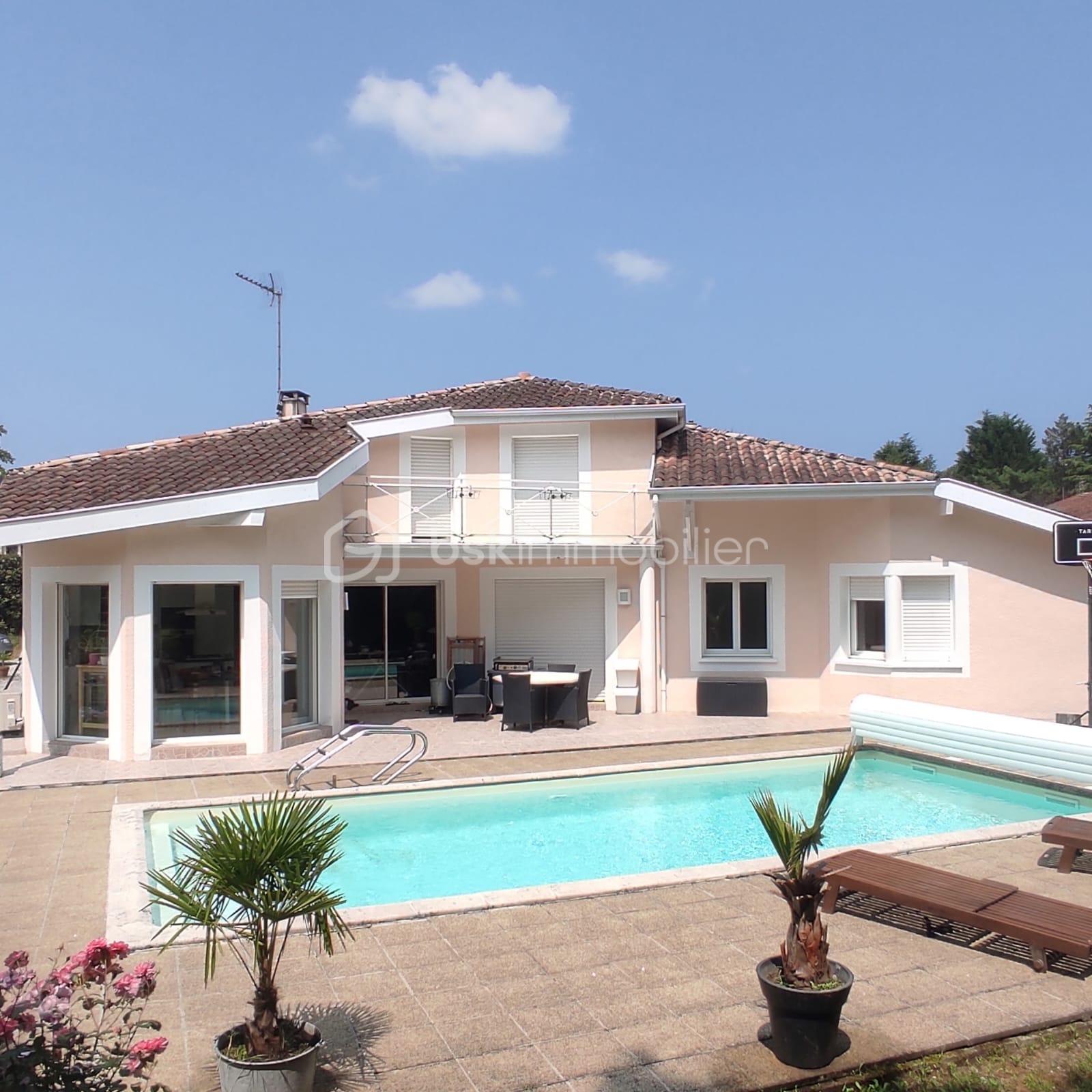 WhatsApp Image 2026-03-26 at 17.11.42.jpeg