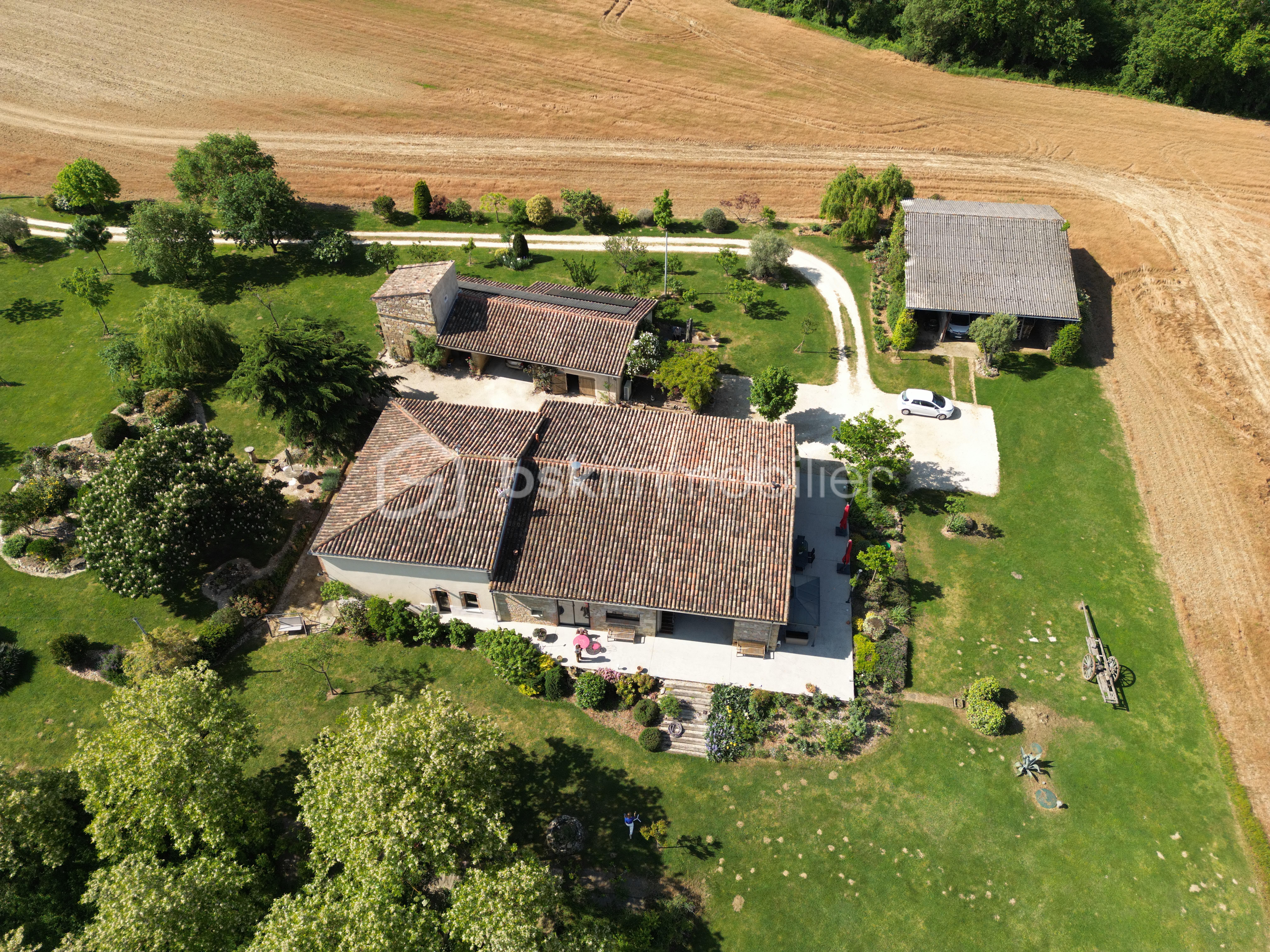 dji_fly_20260427_112648_416_1777294426358_photo.jpeg