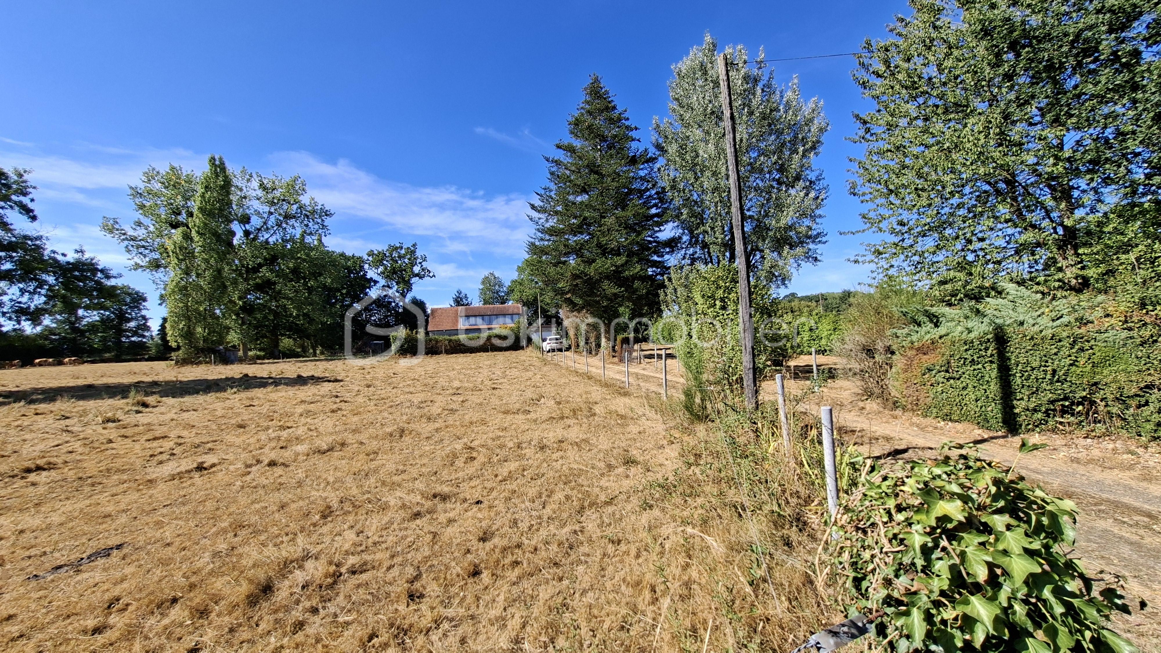 NAT TERRAIN ALLEE PLE VERS MAISON.jpg