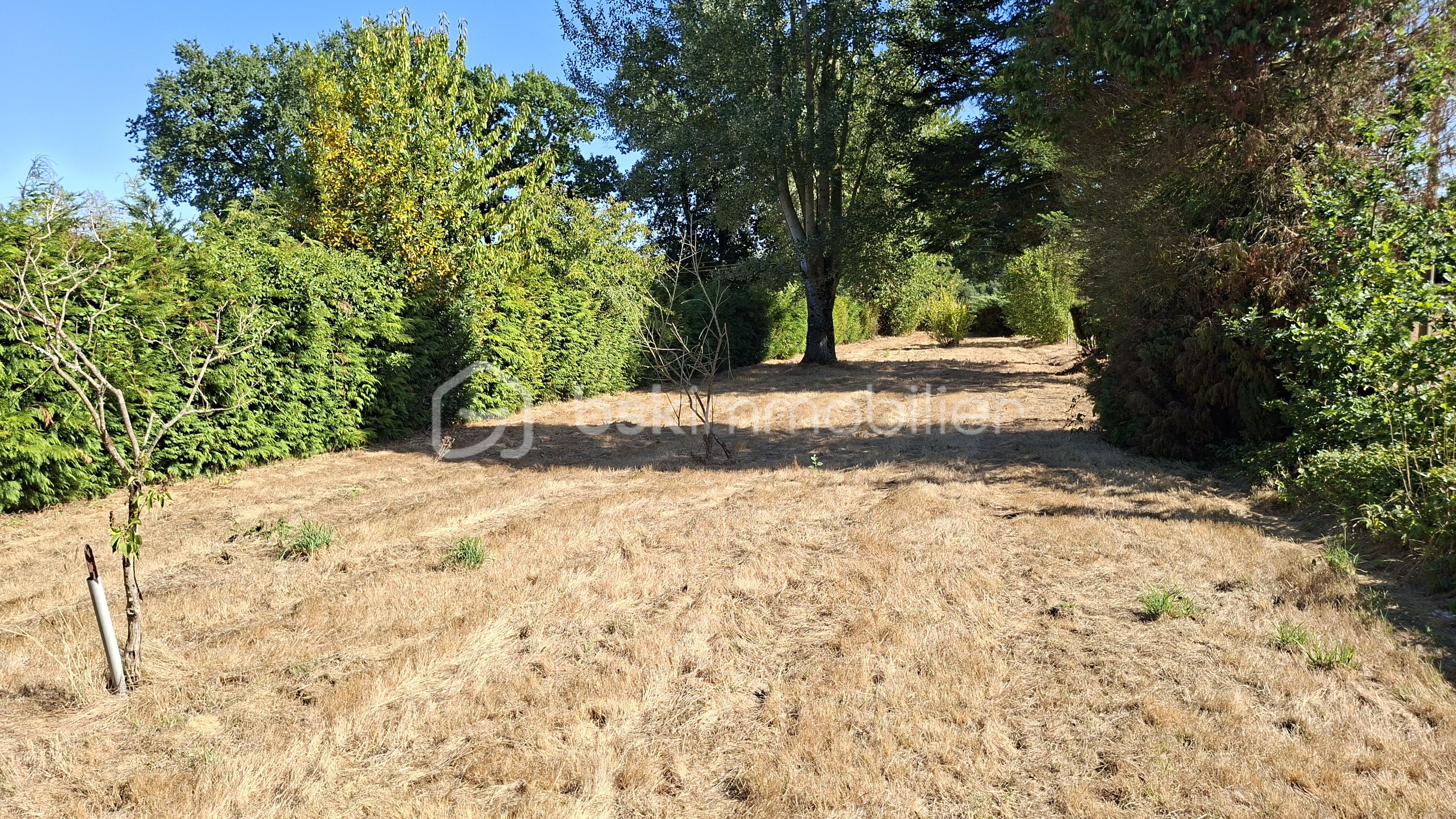 NAT TERRAIN AVANT VERS ROUTE 2 jpg.jpg