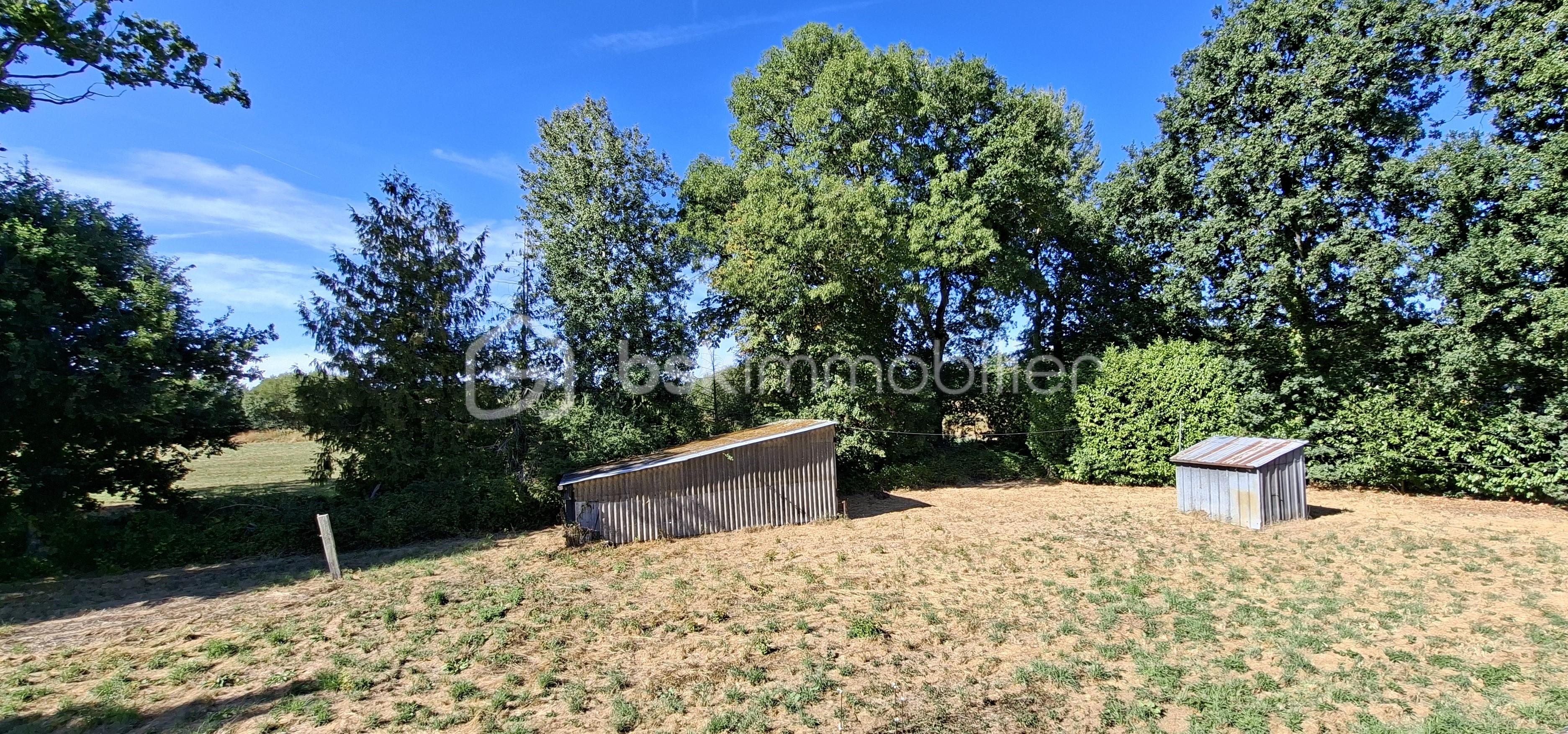 NAT TERRAIN PLE PRIS DE L'ETAGE 3 ARRIERE .jpg