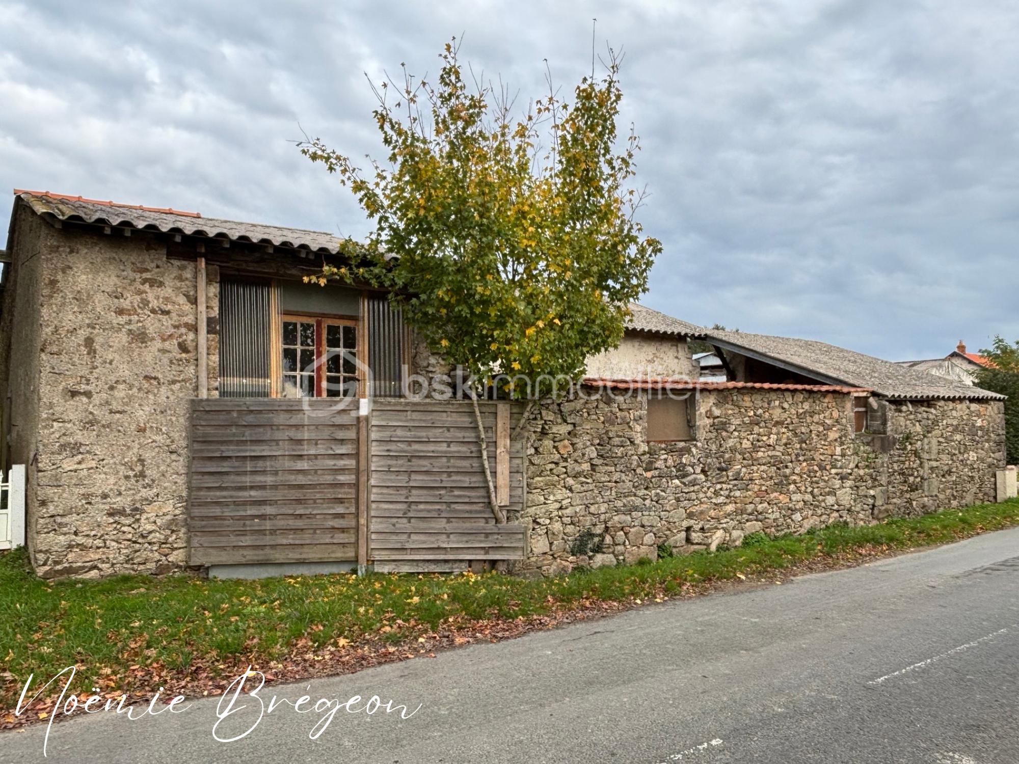 Noëmie Brégeon (10).png