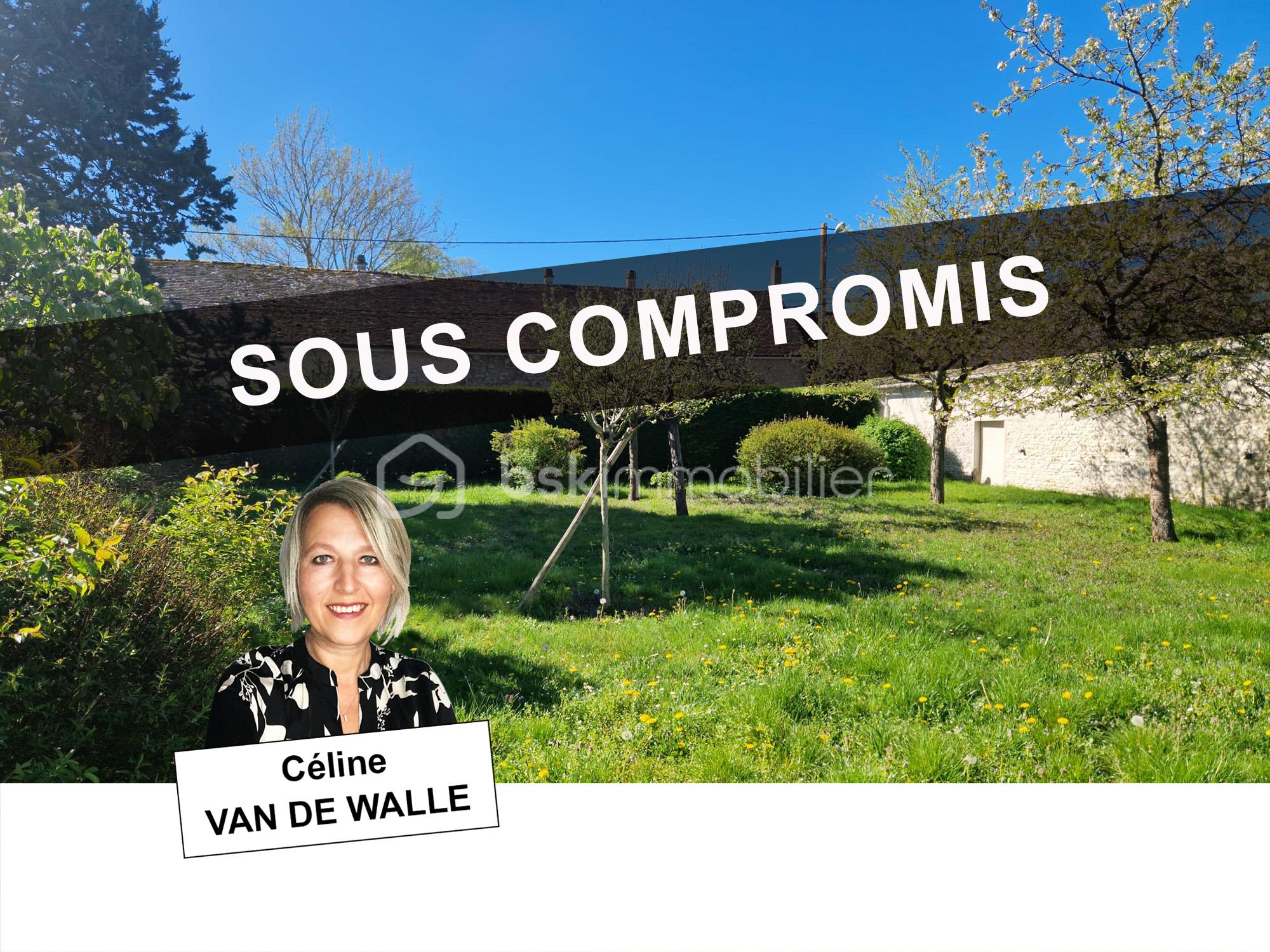 CELINE VAN DE WALLE TERRAIN COMPROMIS.jpg