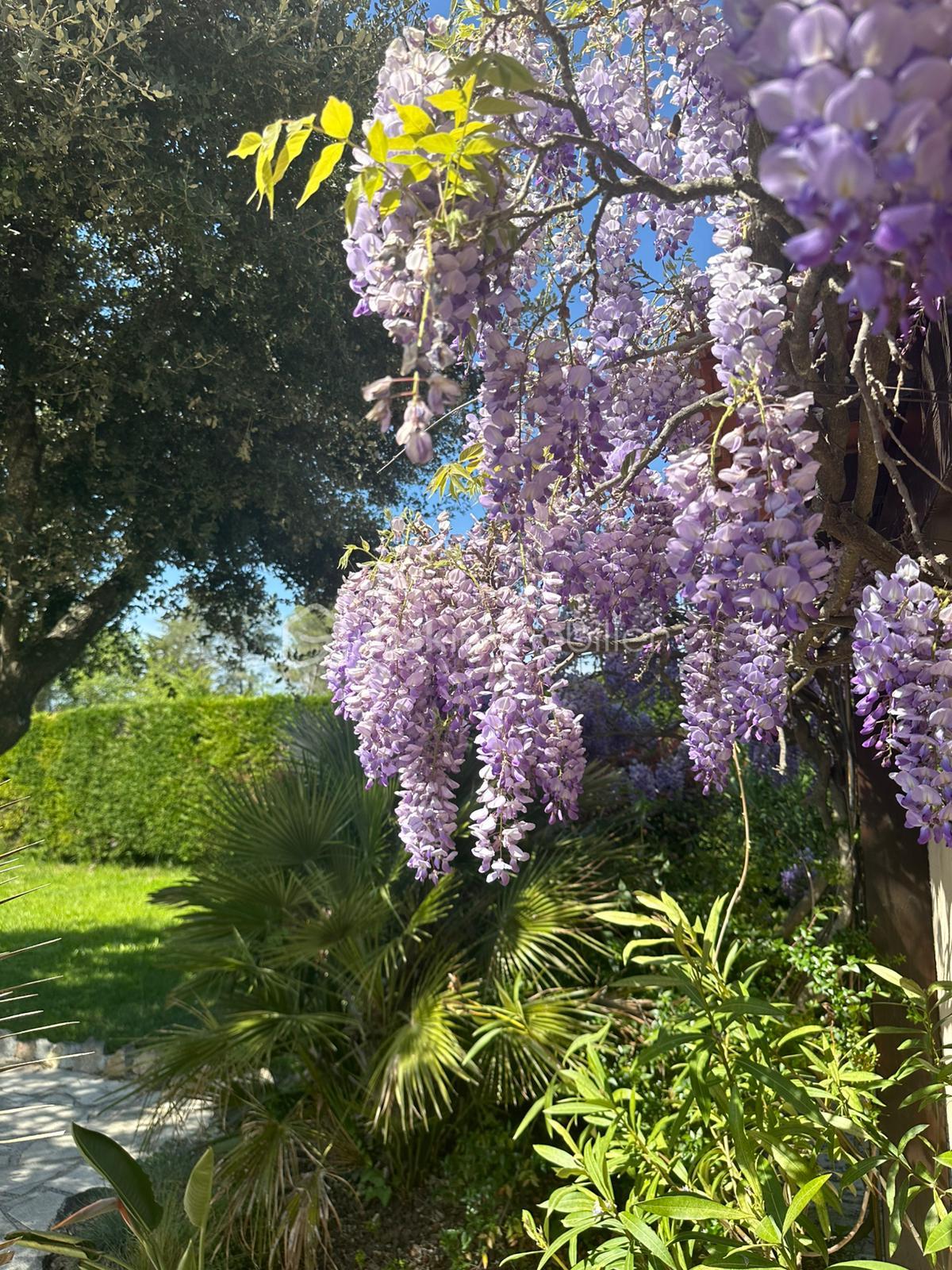 PHOTO-2026-02-23-09-47-08 3.jpg