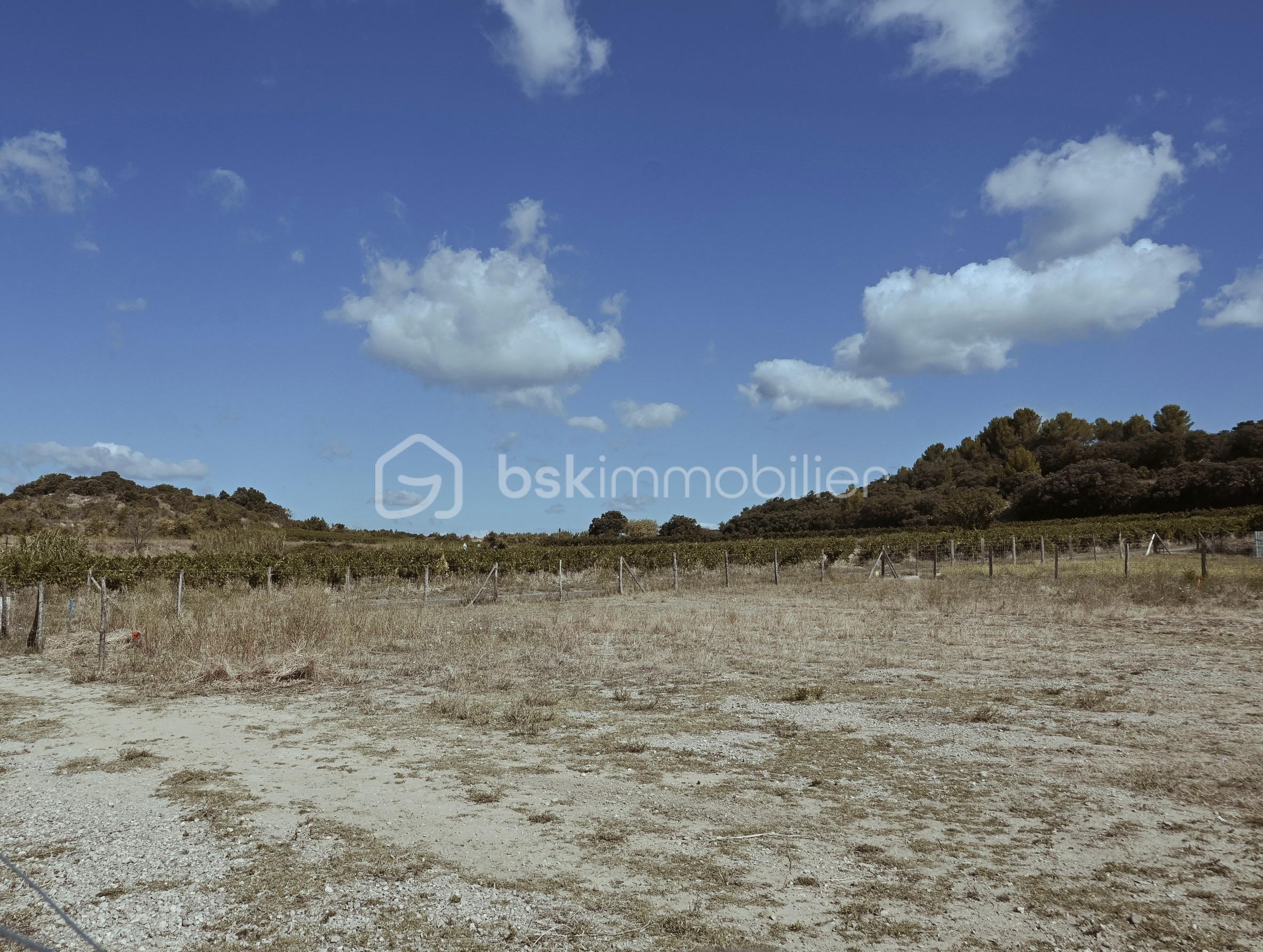 Terrain de 457 m² - DSC_7737.jpg