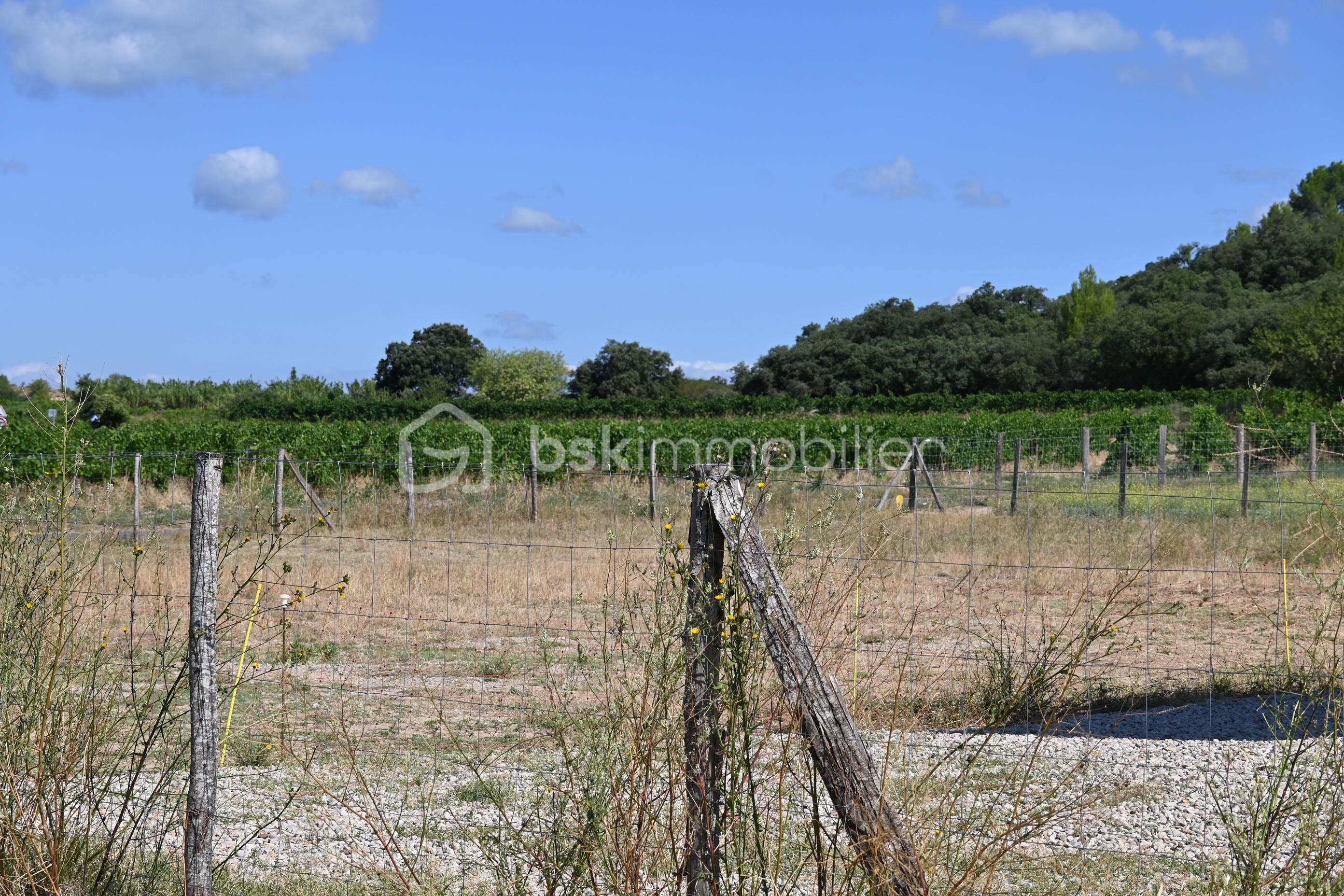 Terrain de 457 m² - DSC_7727.JPG